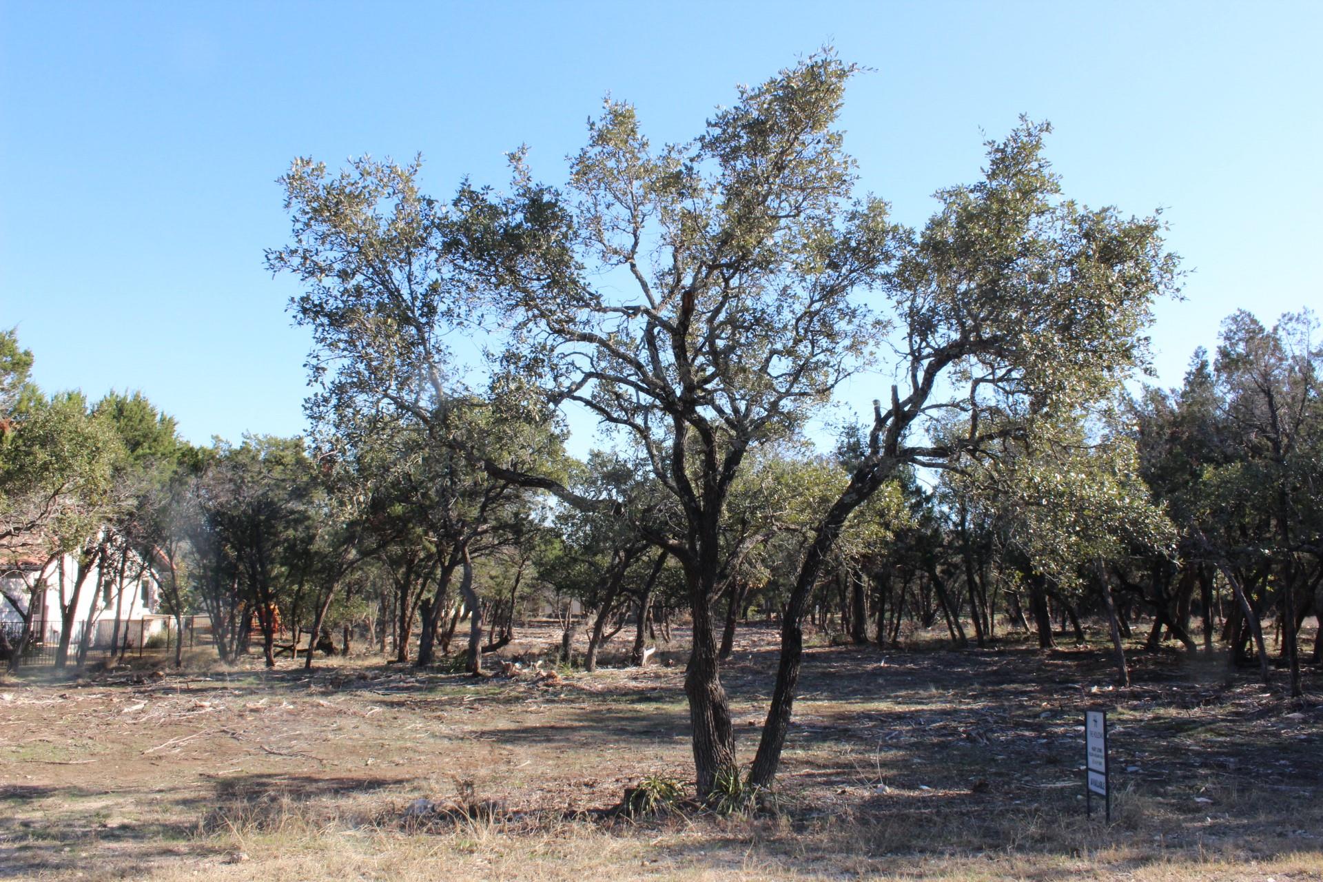 17507 Navigation Ln, Jonestown, TX 78645