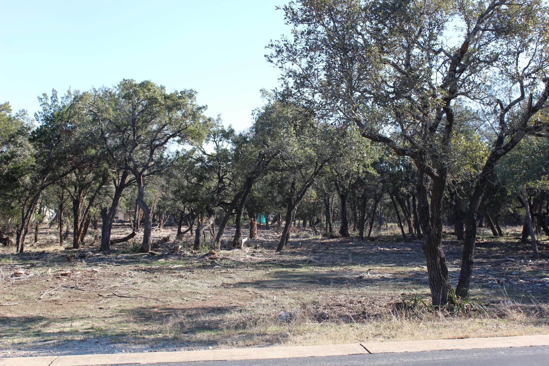 17507 Navigation Ln, Jonestown, TX 78645