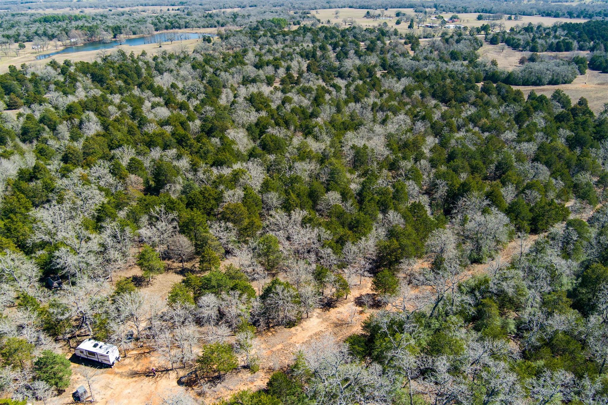 TBD Edgewood Trl, Paige, TX 78659