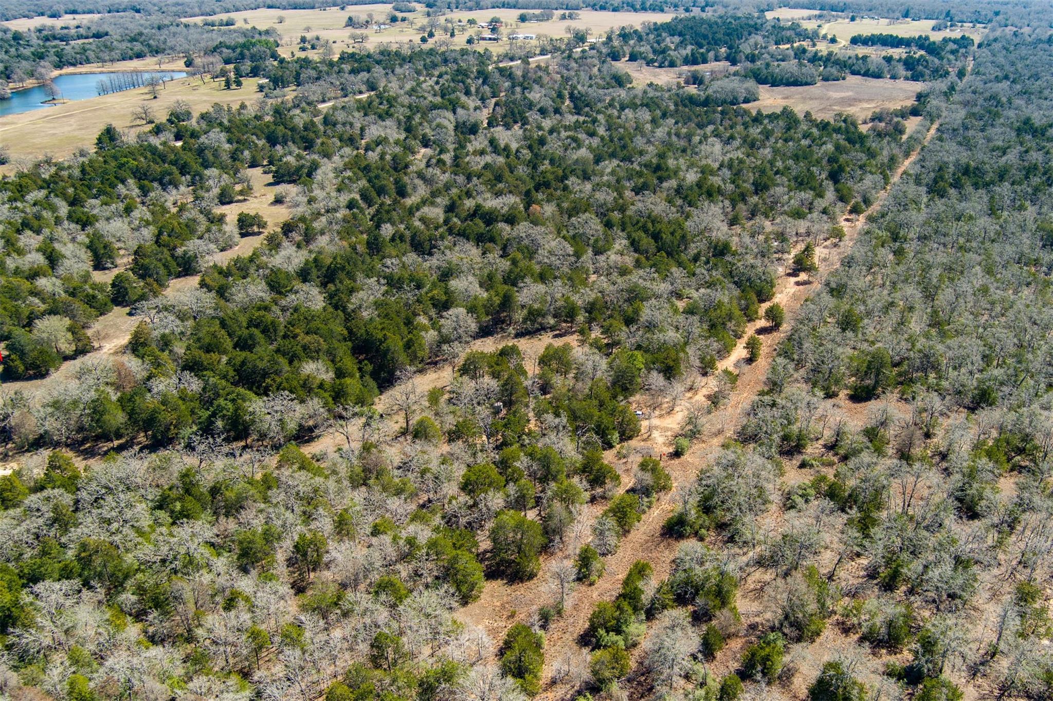 TBD Edgewood Trl, Paige, TX 78659