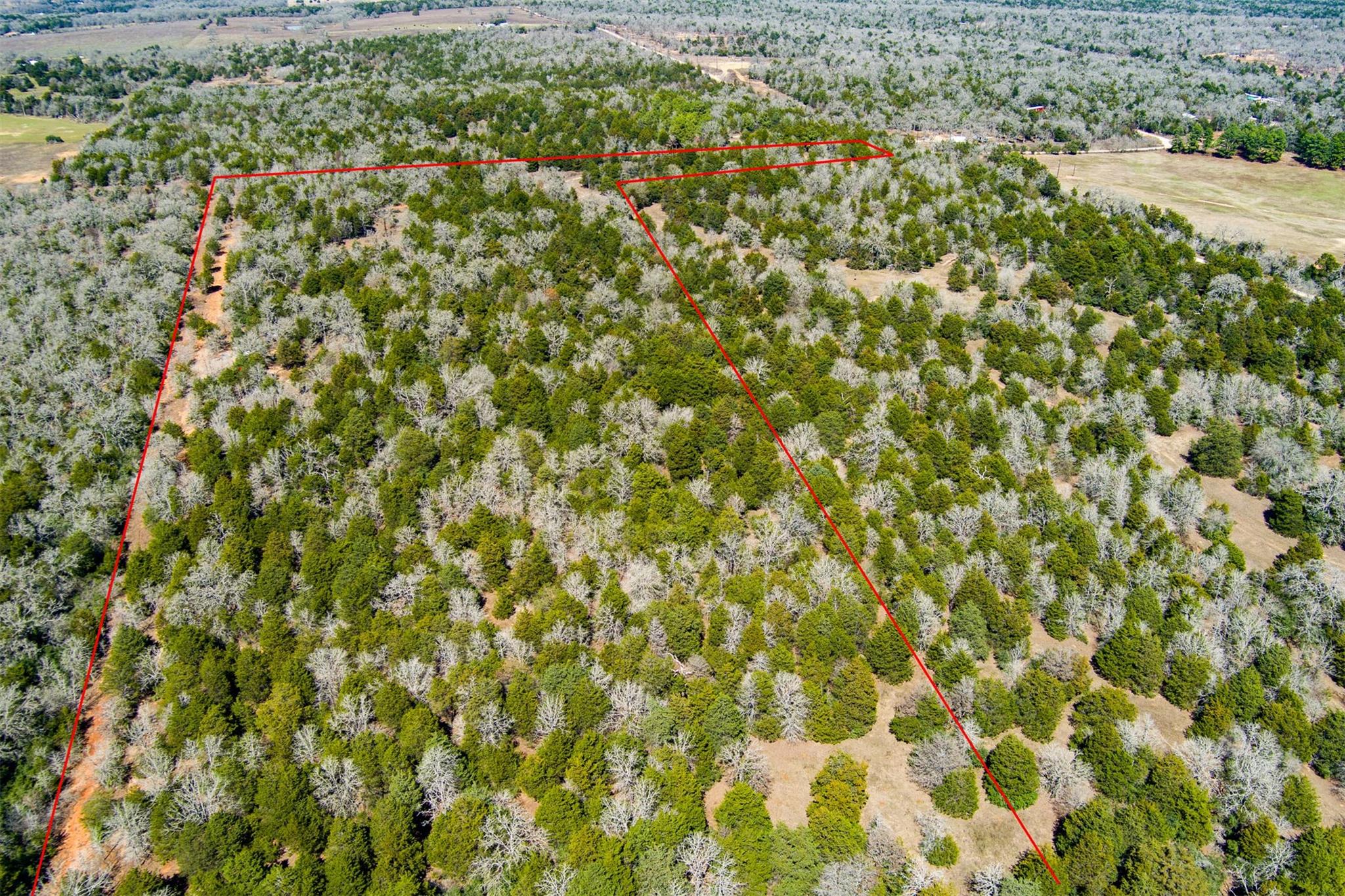 TBD Edgewood Trl, Paige, TX 78659