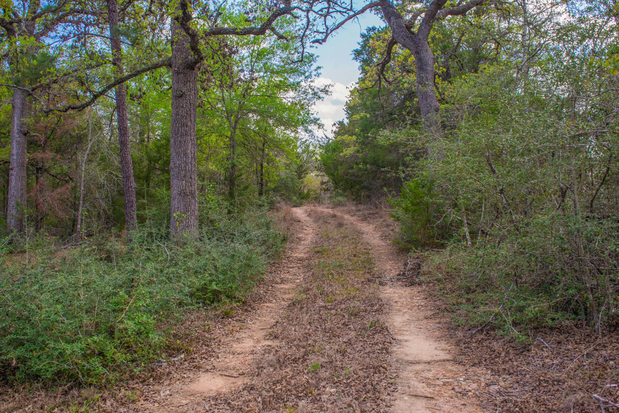 TBD Edgewood Trl, Paige, TX 78659