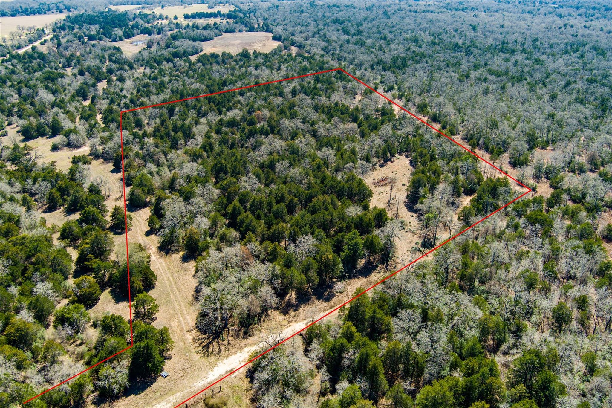 TBD Edgewood Trl, Paige, TX 78659