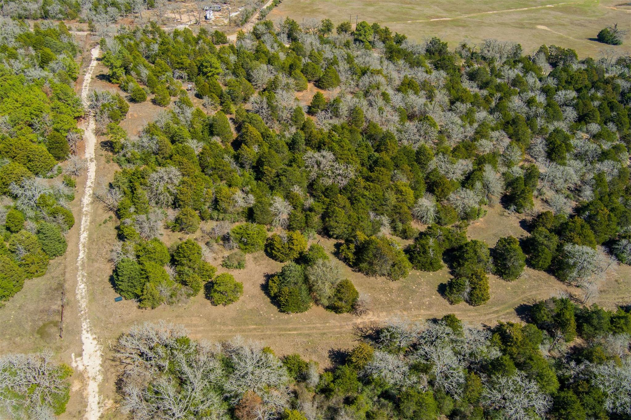 TBD Edgewood Trl, Paige, TX 78659