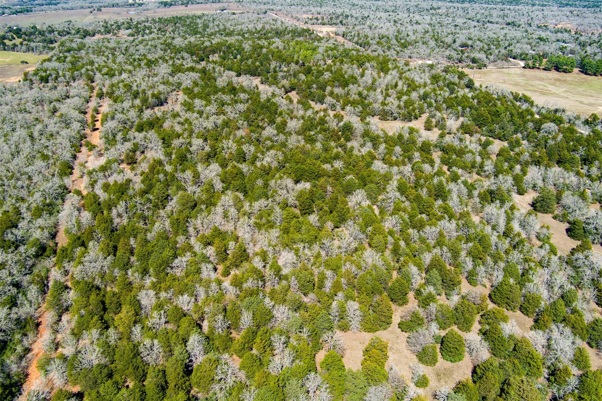 TBD Edgewood Trl, Paige, TX 78659