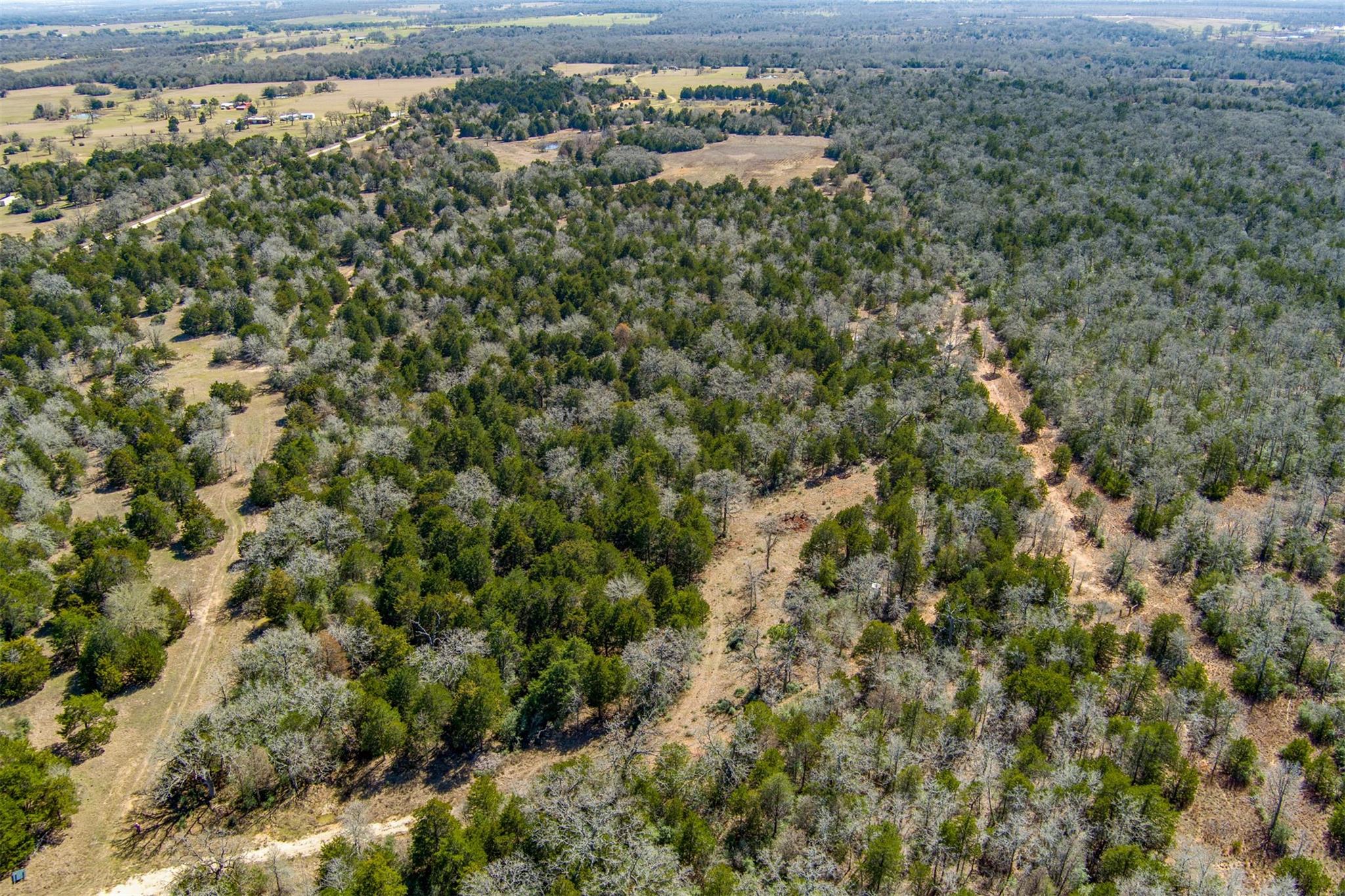 TBD Edgewood Trl, Paige, TX 78659