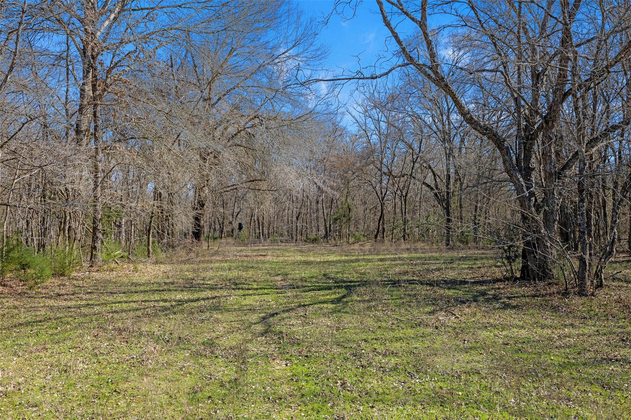 1880 County Road 234, Milano, TX 76556
