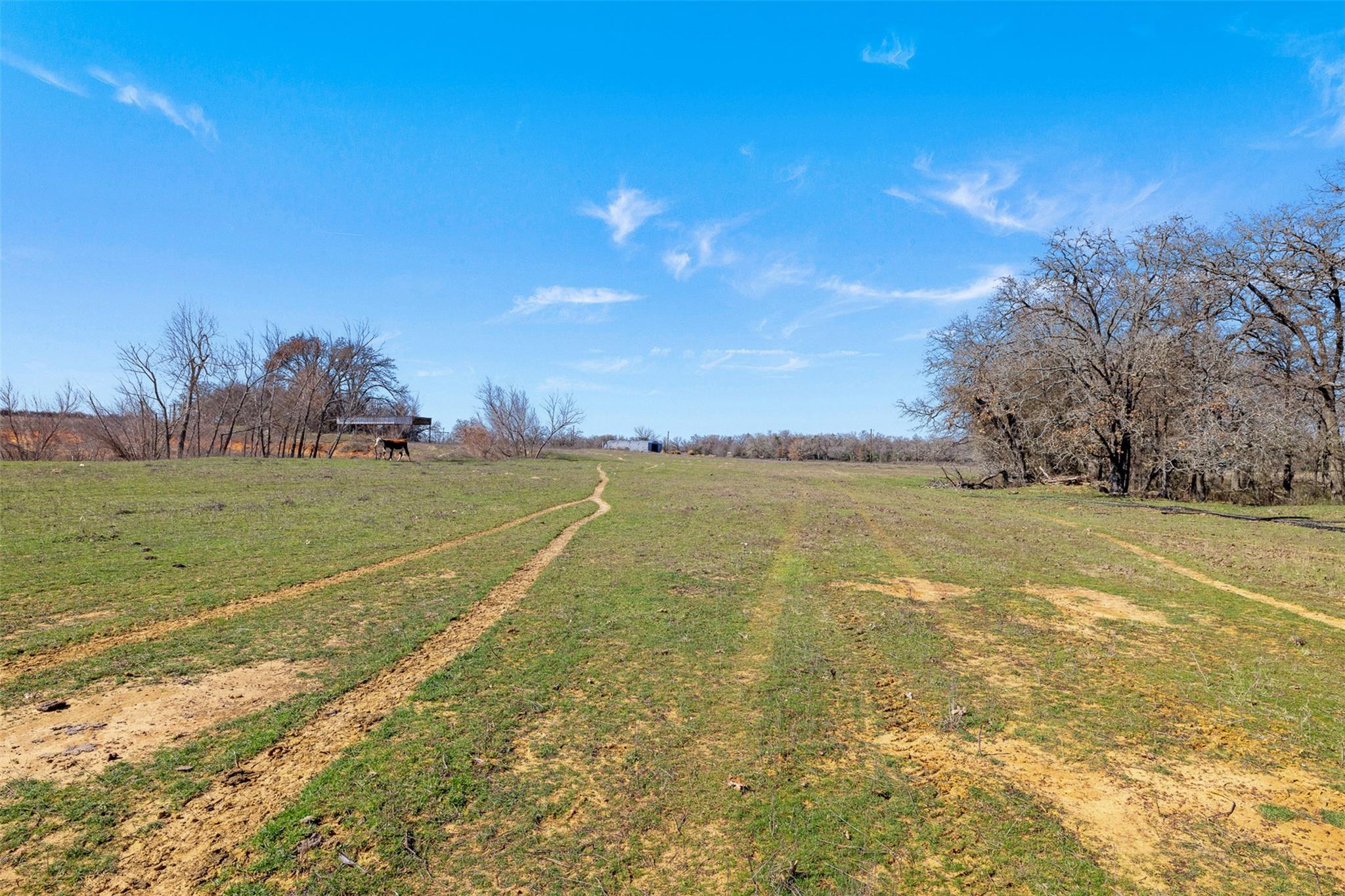 1880 County Road 234, Milano, TX 76556