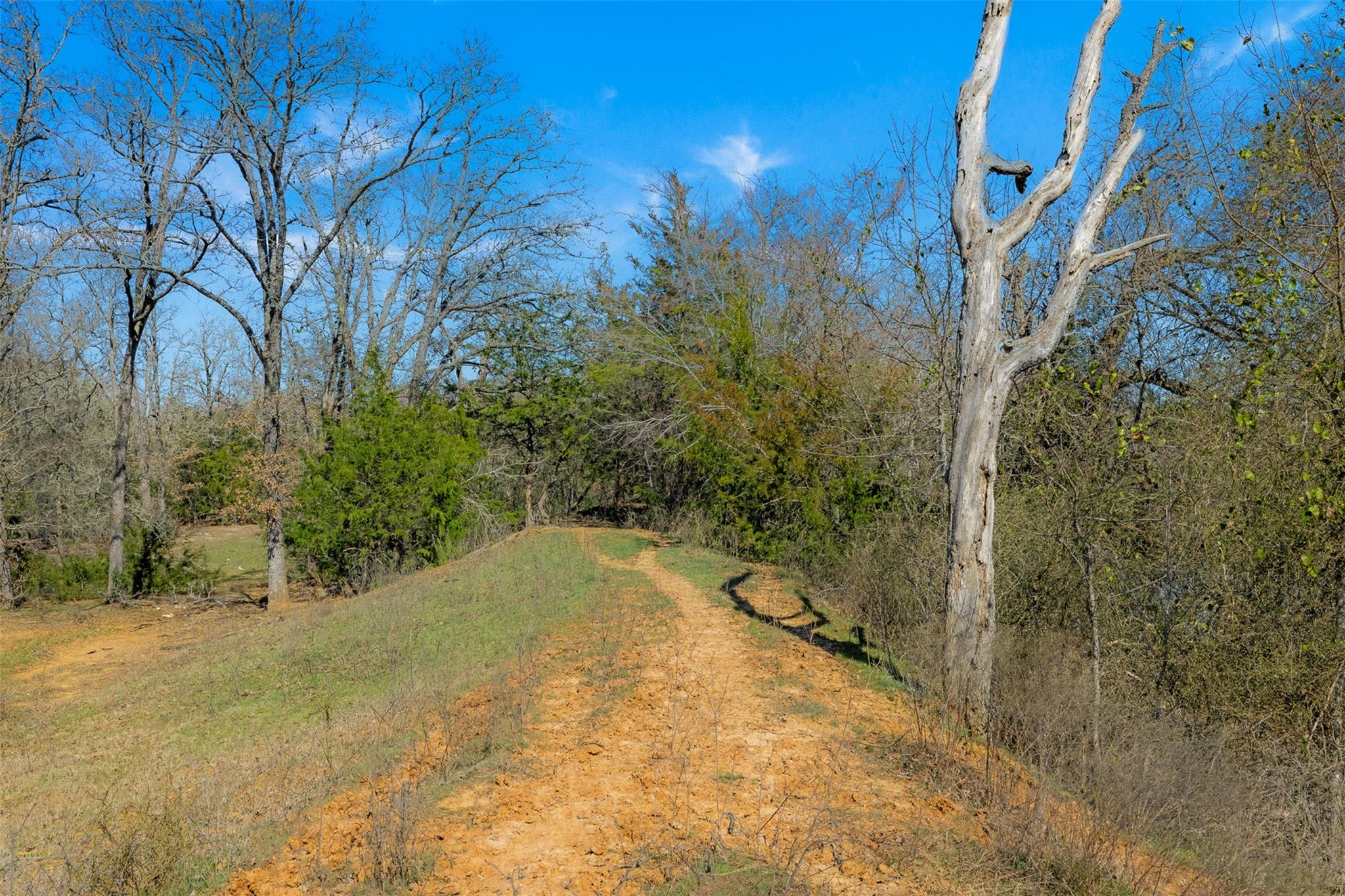 1880 County Road 234, Milano, TX 76556