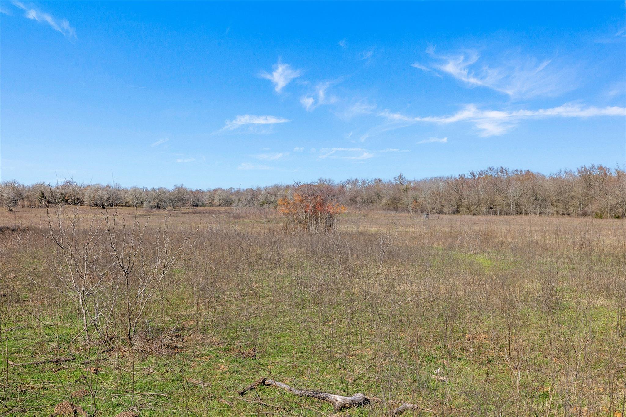 1880 County Road 234, Milano, TX 76556