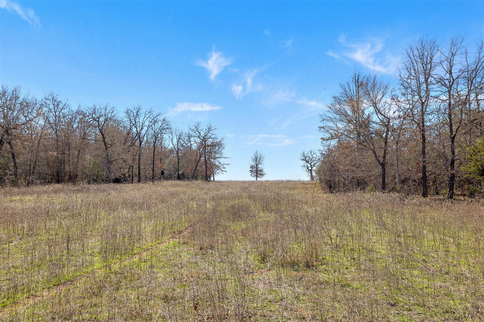 1880 County Road 234, Milano, TX 76556