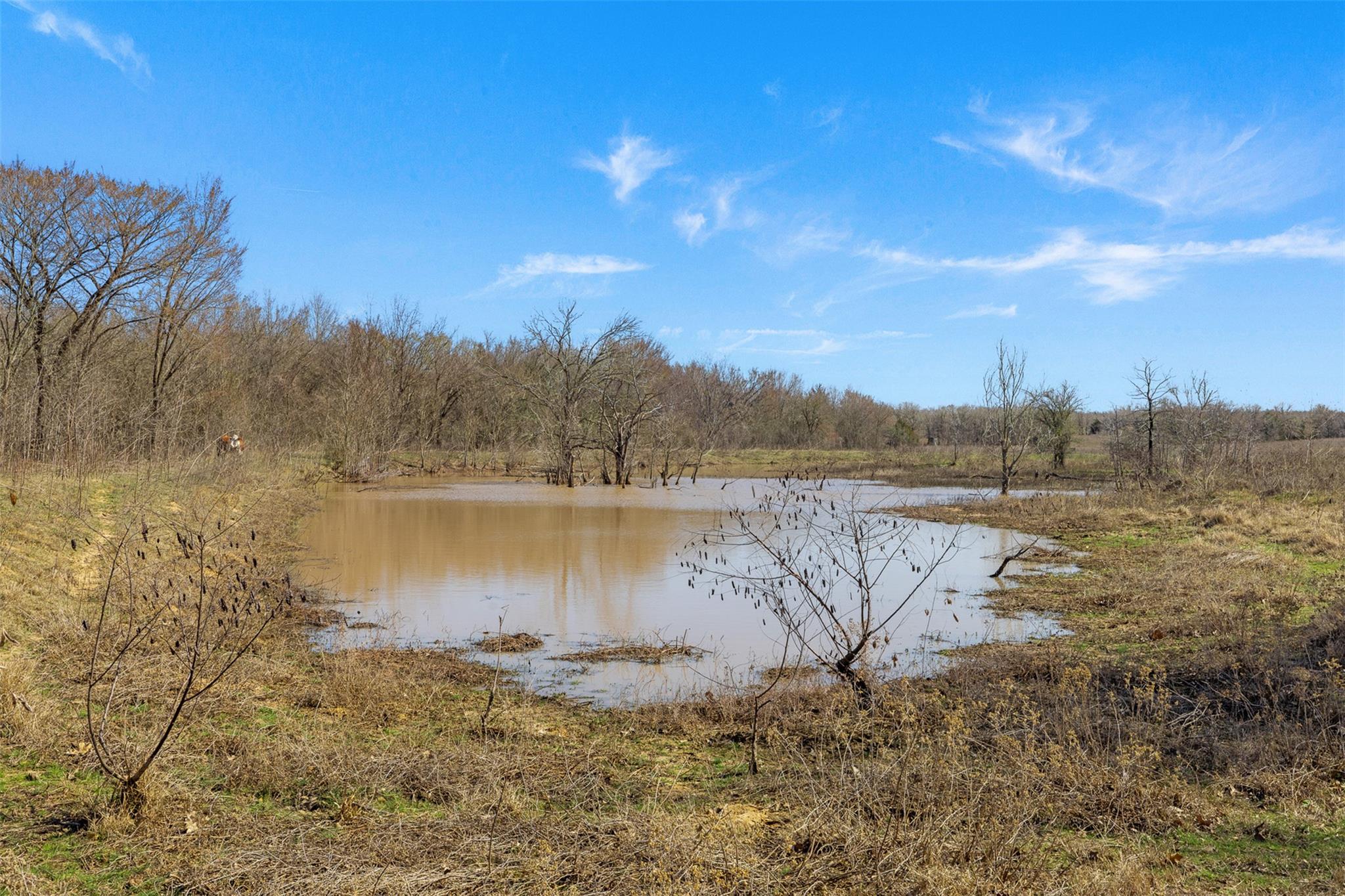 1880 County Road 234, Milano, TX 76556