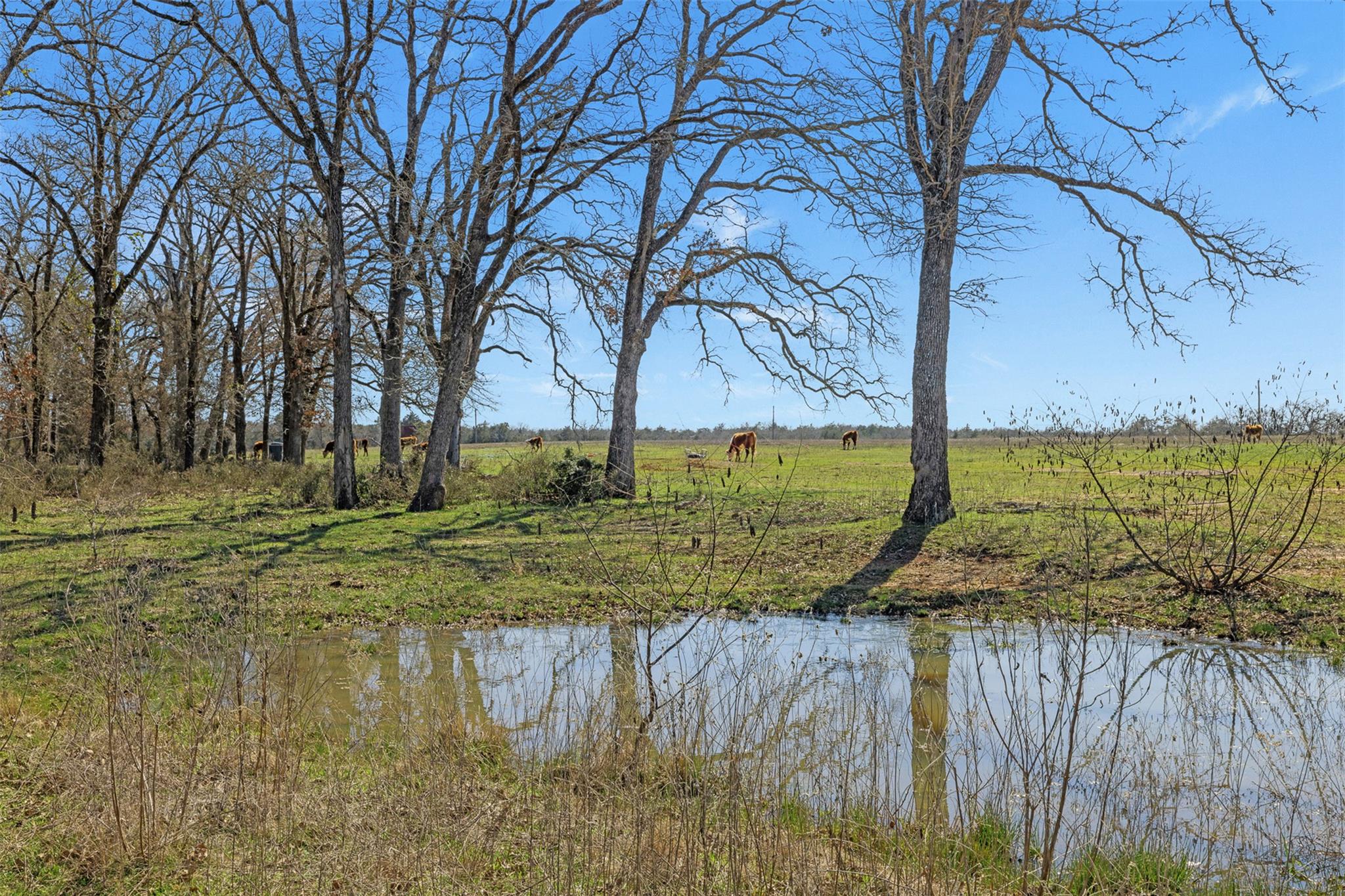 1880 County Road 234, Milano, TX 76556