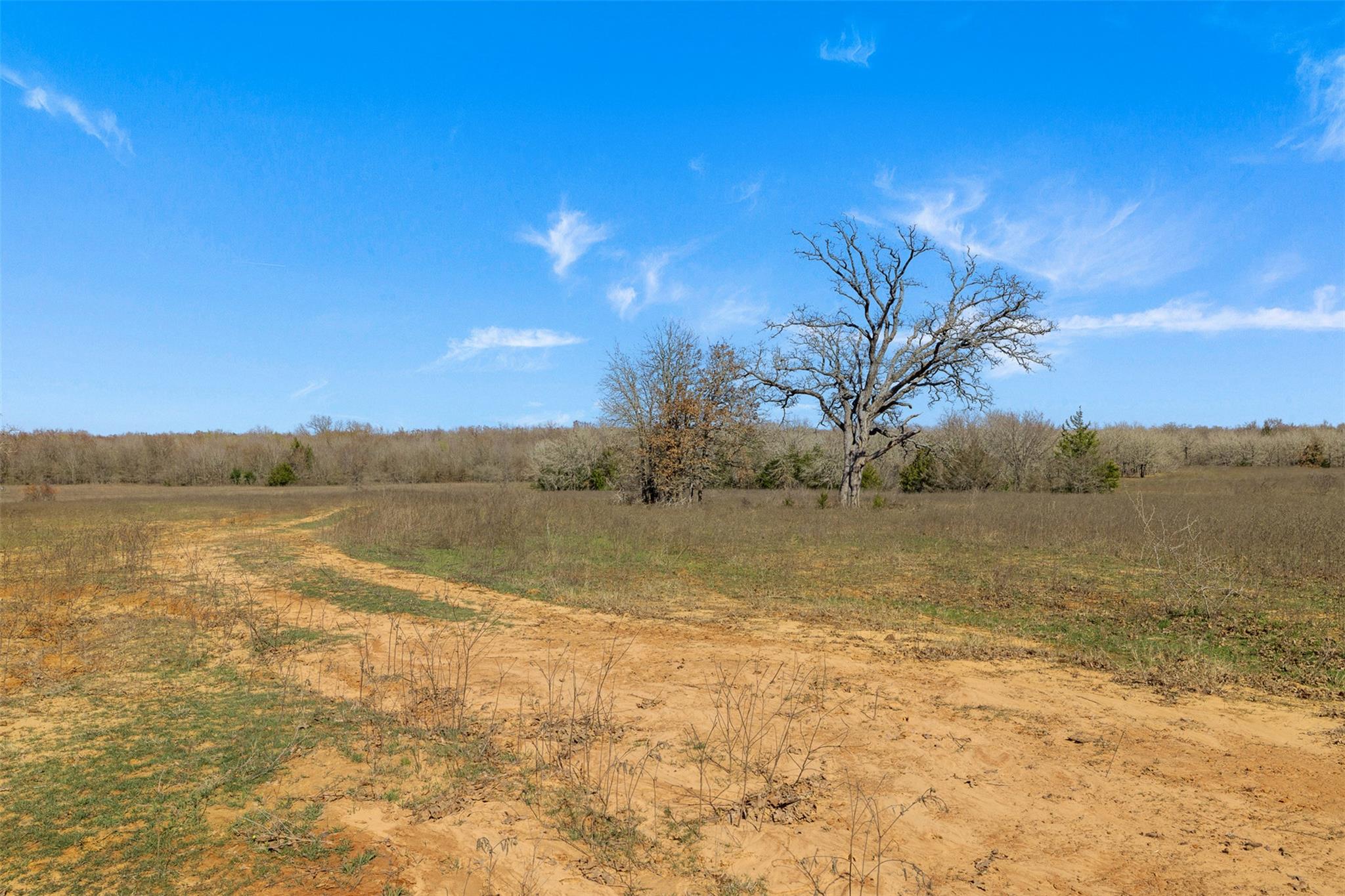 1880 County Road 234, Milano, TX 76556