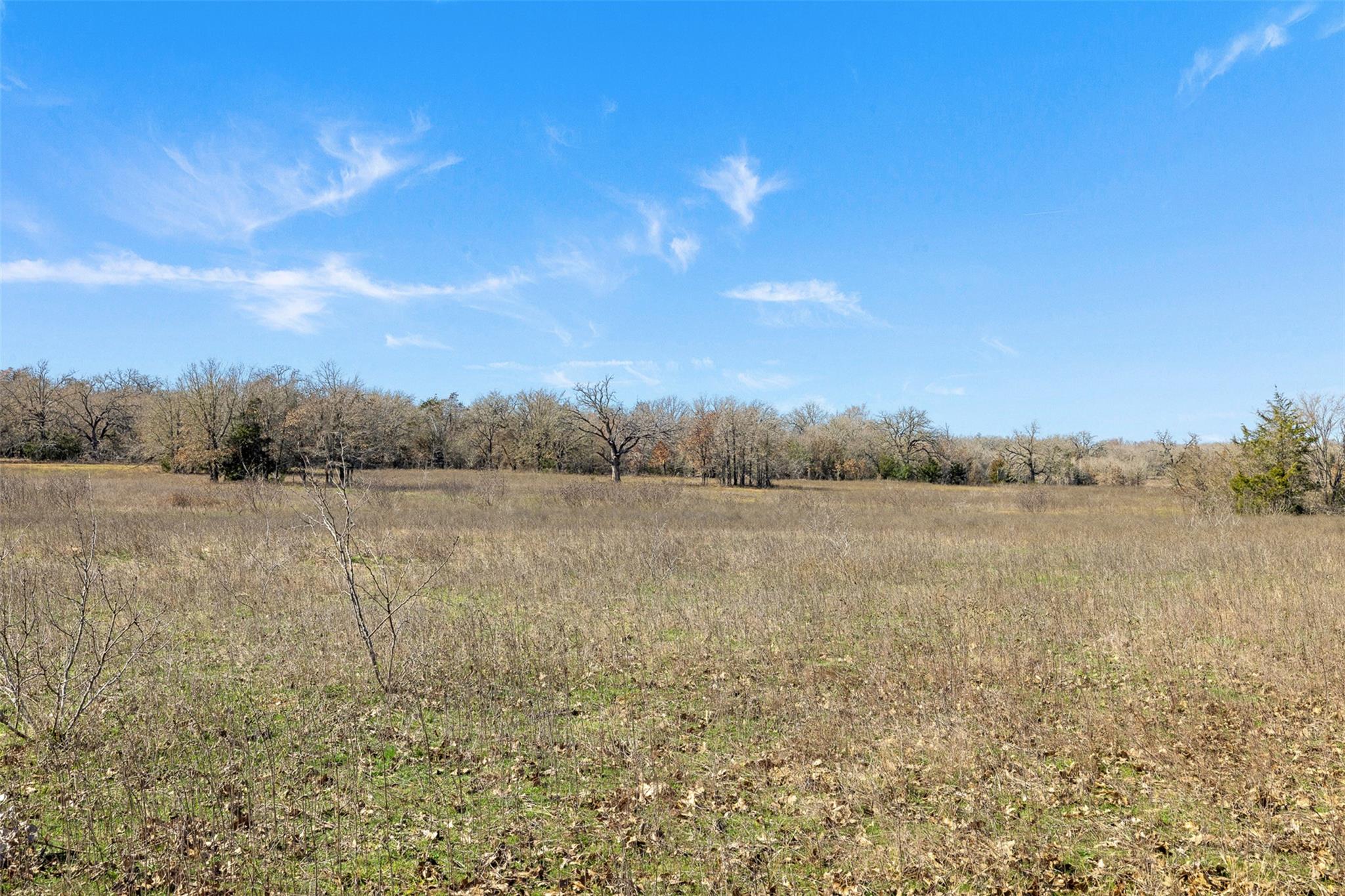 1880 County Road 234, Milano, TX 76556