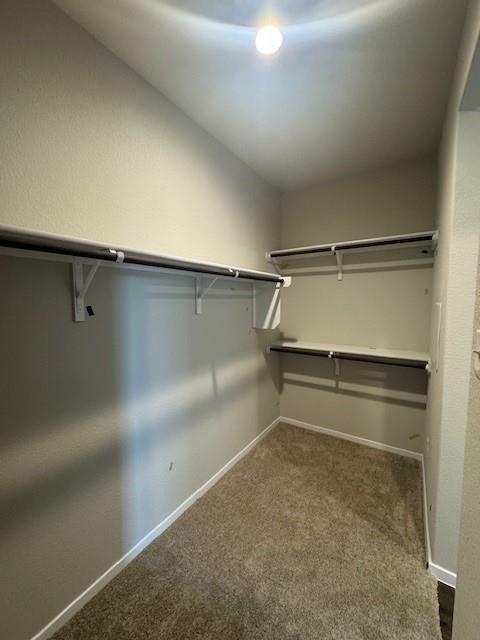 220 Backwater Rd, Kyle, TX 78640