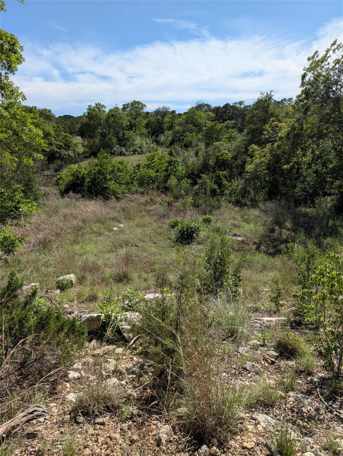 19529 Adrian-5.53 Acres Way, Lago Vista, TX 78645