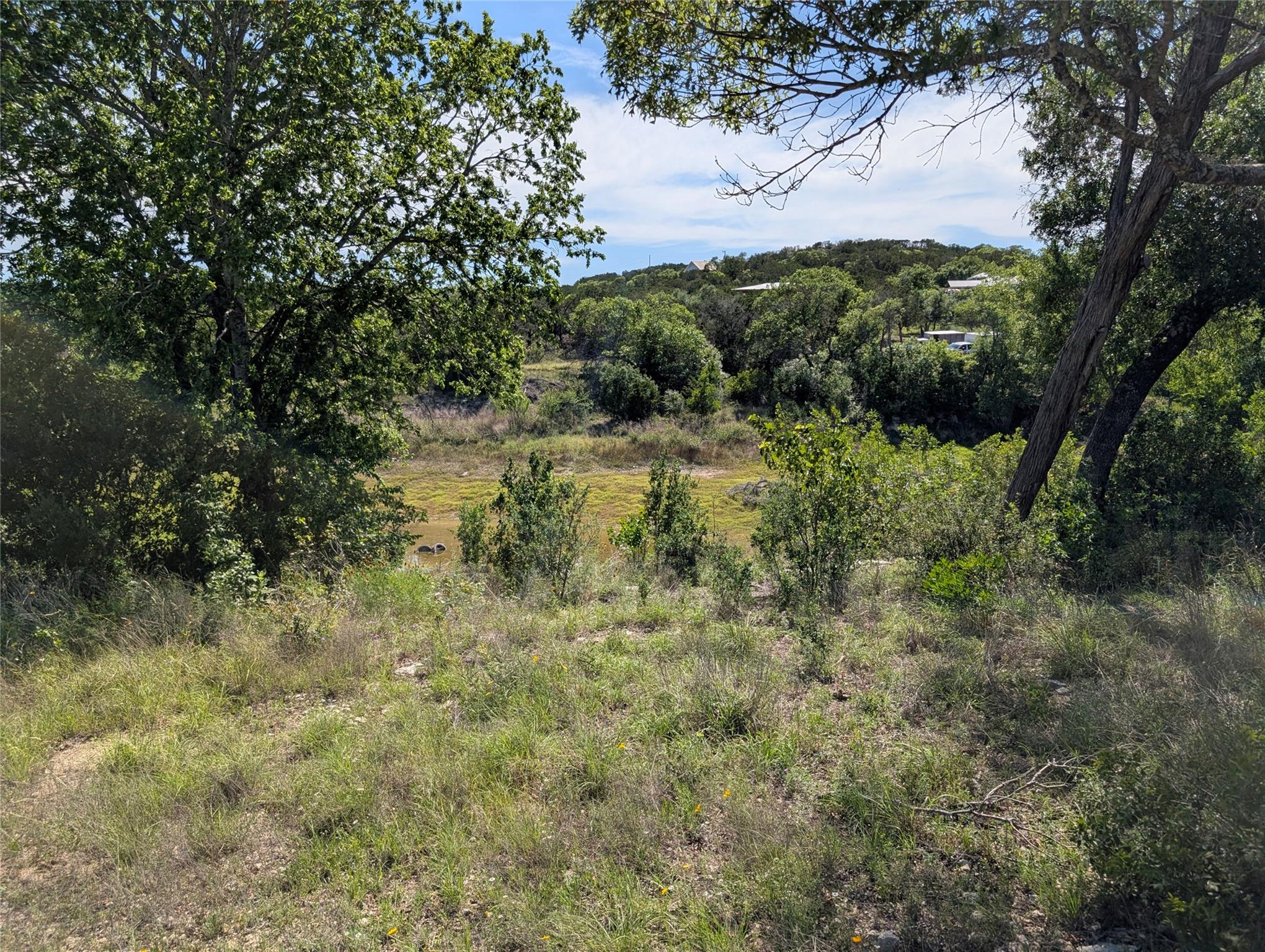19529 Adrian-5.53 Acres Way, Lago Vista, TX 78645