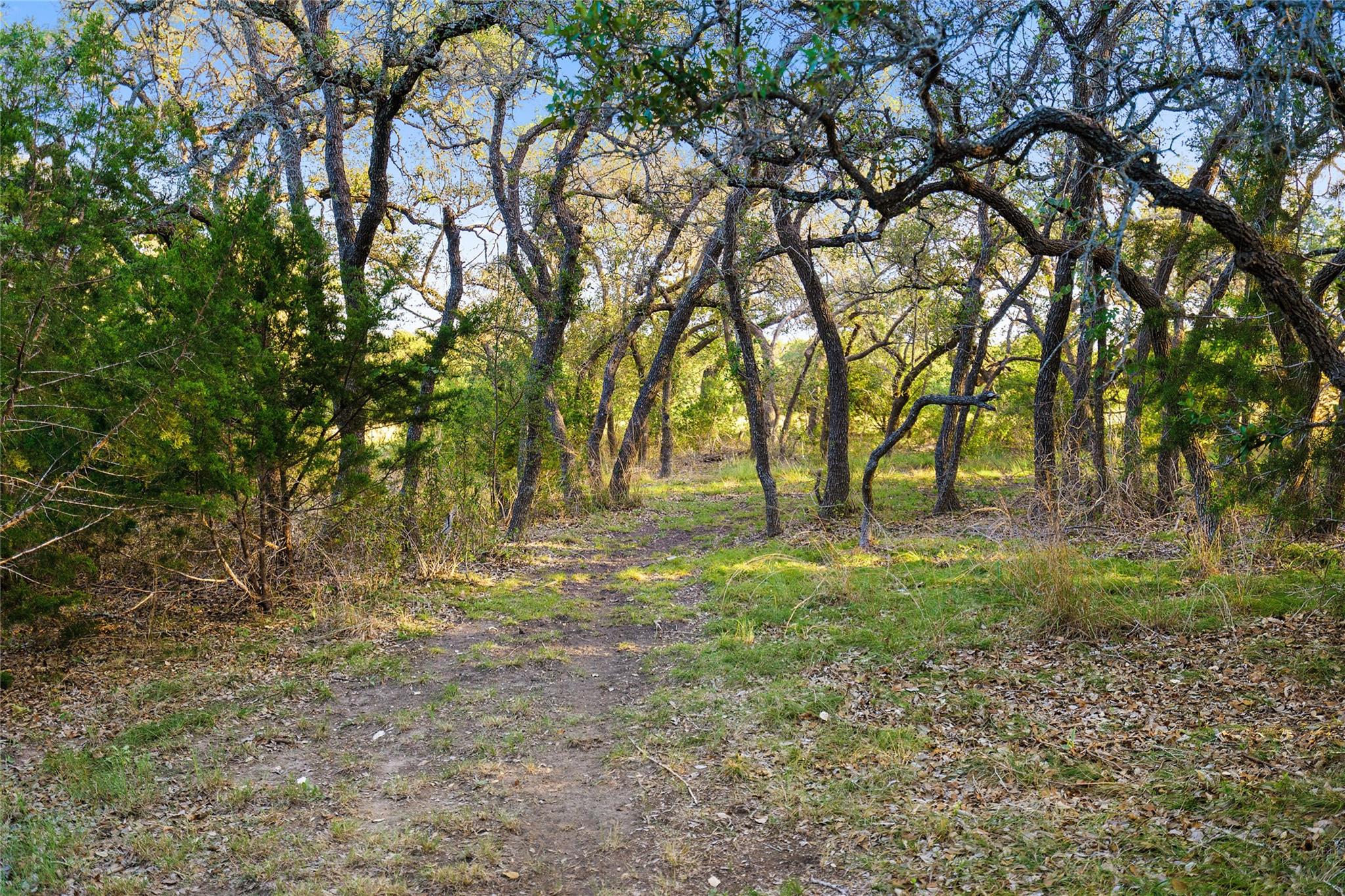 370 Gray Wolf, Blanco, TX 78606