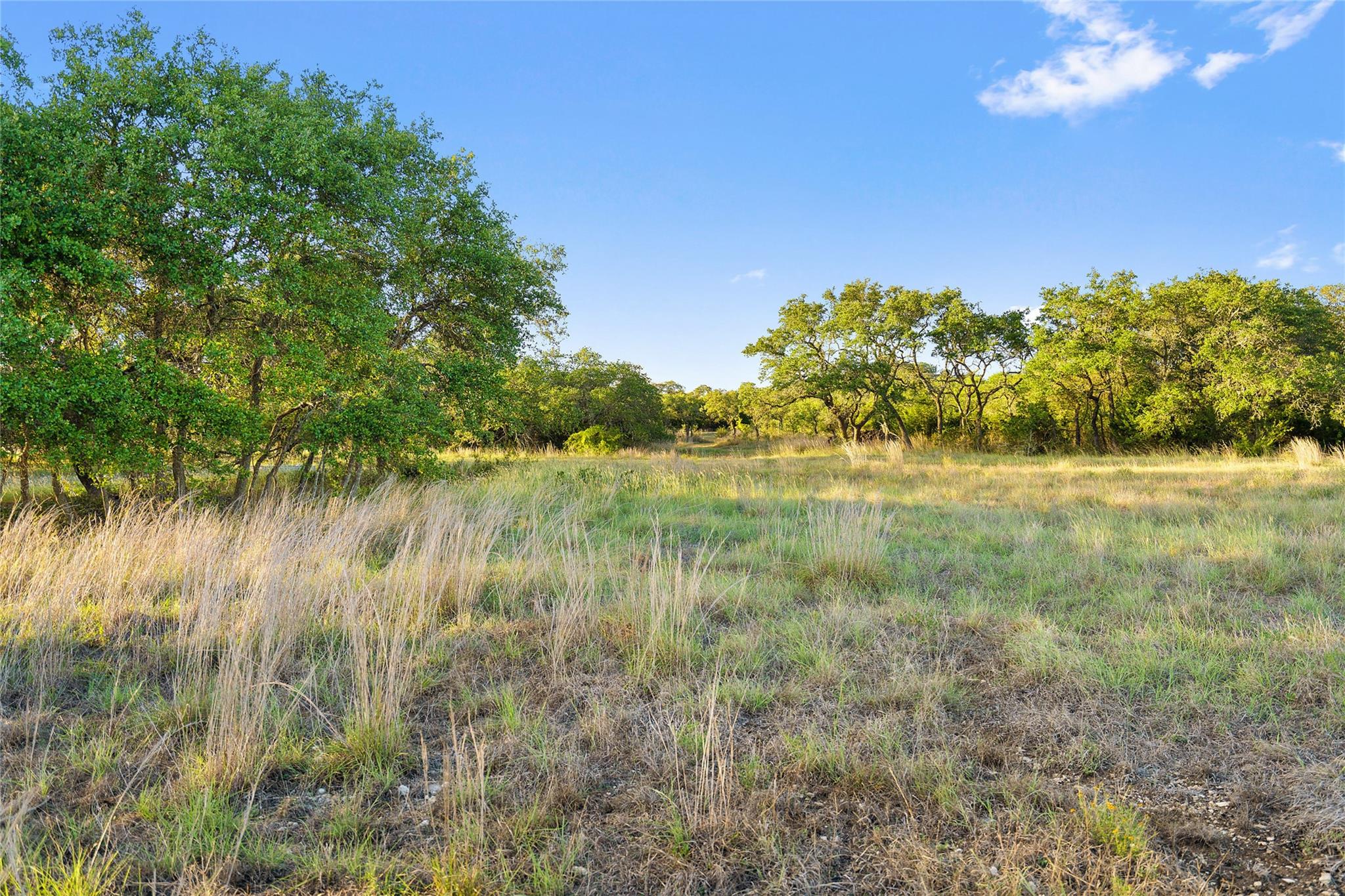 370 Gray Wolf, Blanco, TX 78606