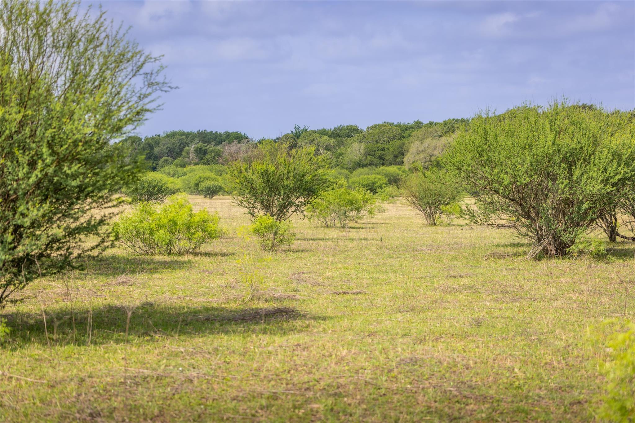 TBD Highway 77 S, Giddings, TX 78942
