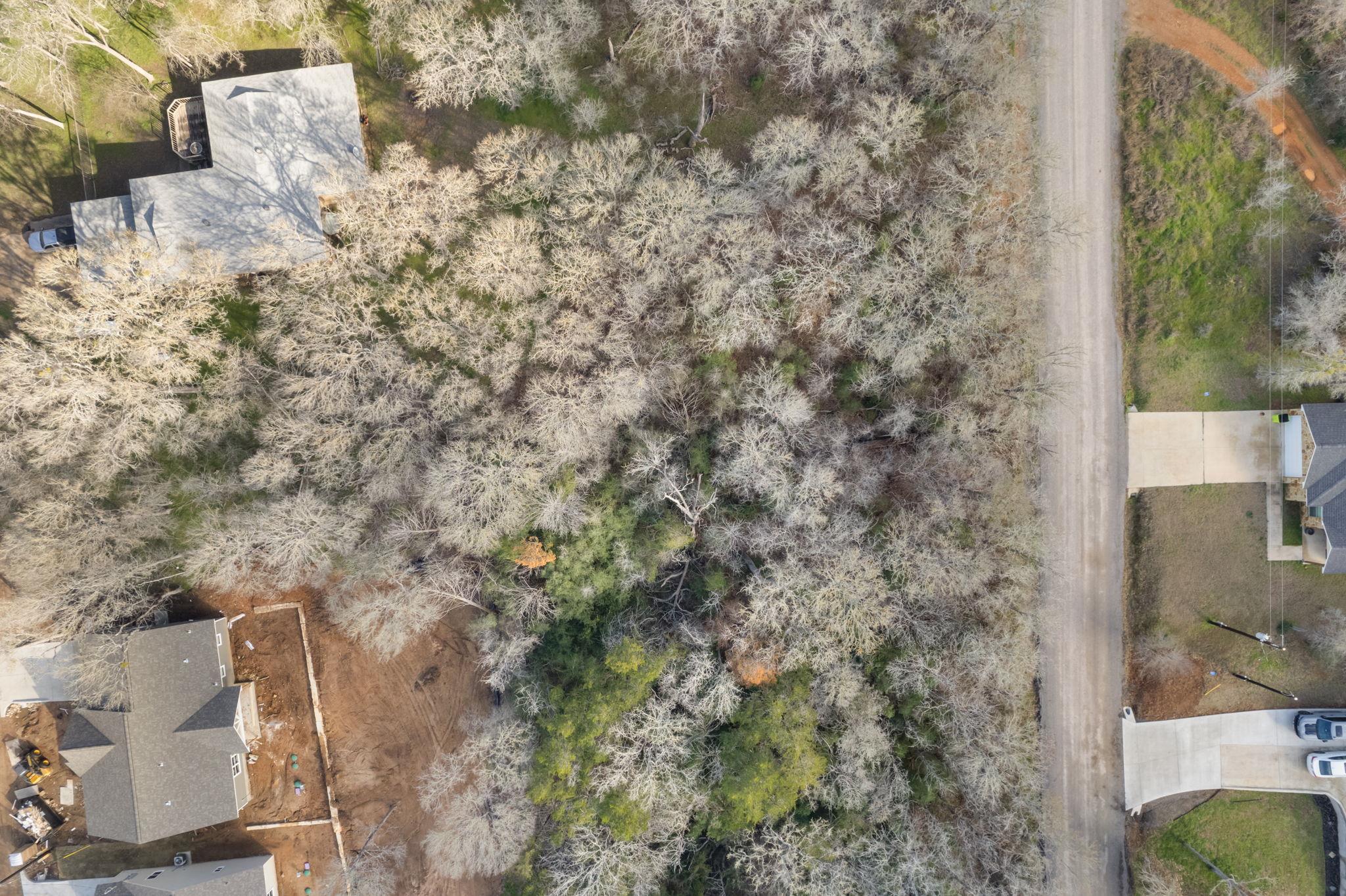 234 Kaaawa Ln, Bastrop, TX 78602