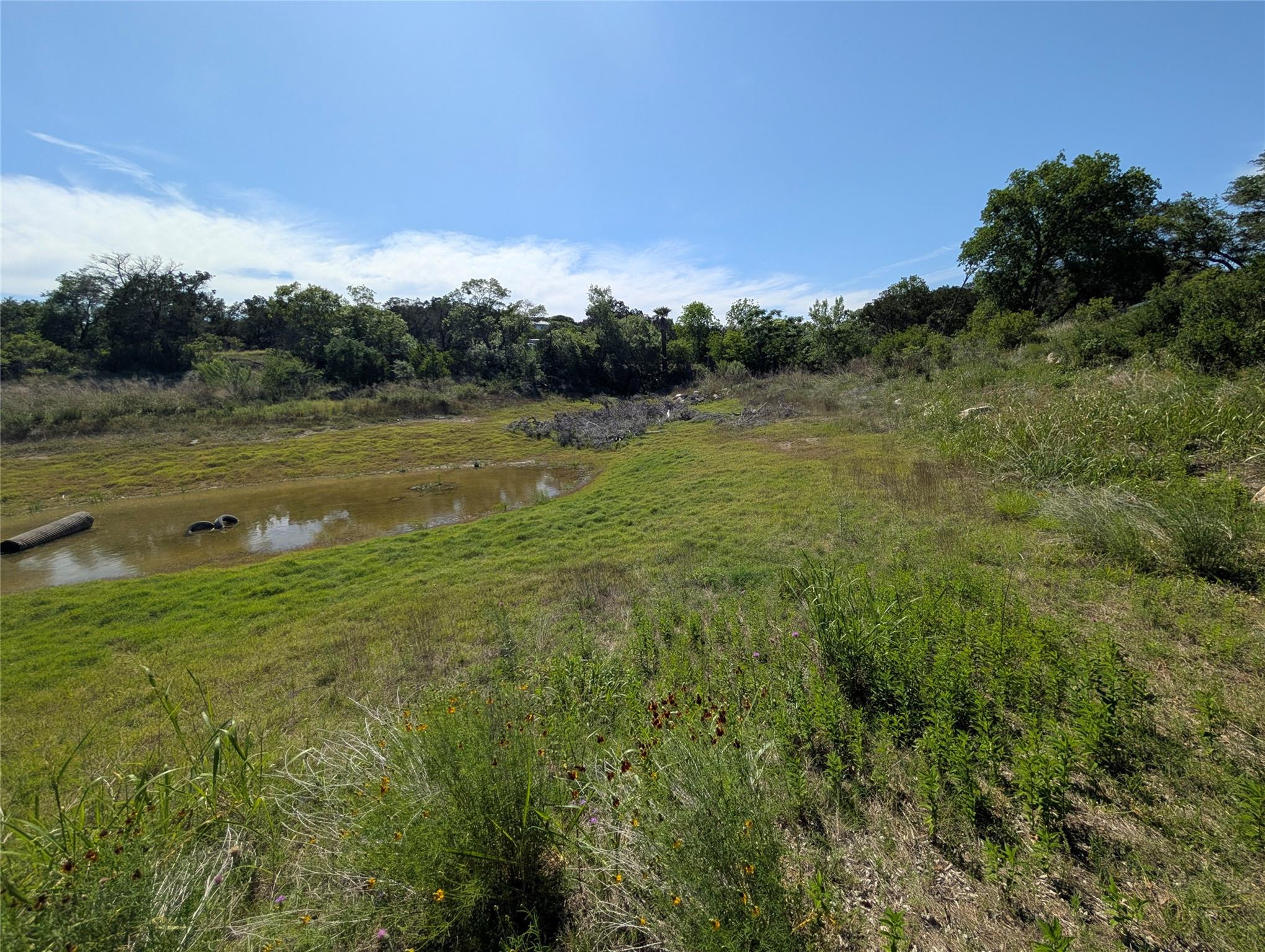 ABS 2537 SUR 98 CARLTON Adrian-1 acre Way, Lago Vista, TX 78645