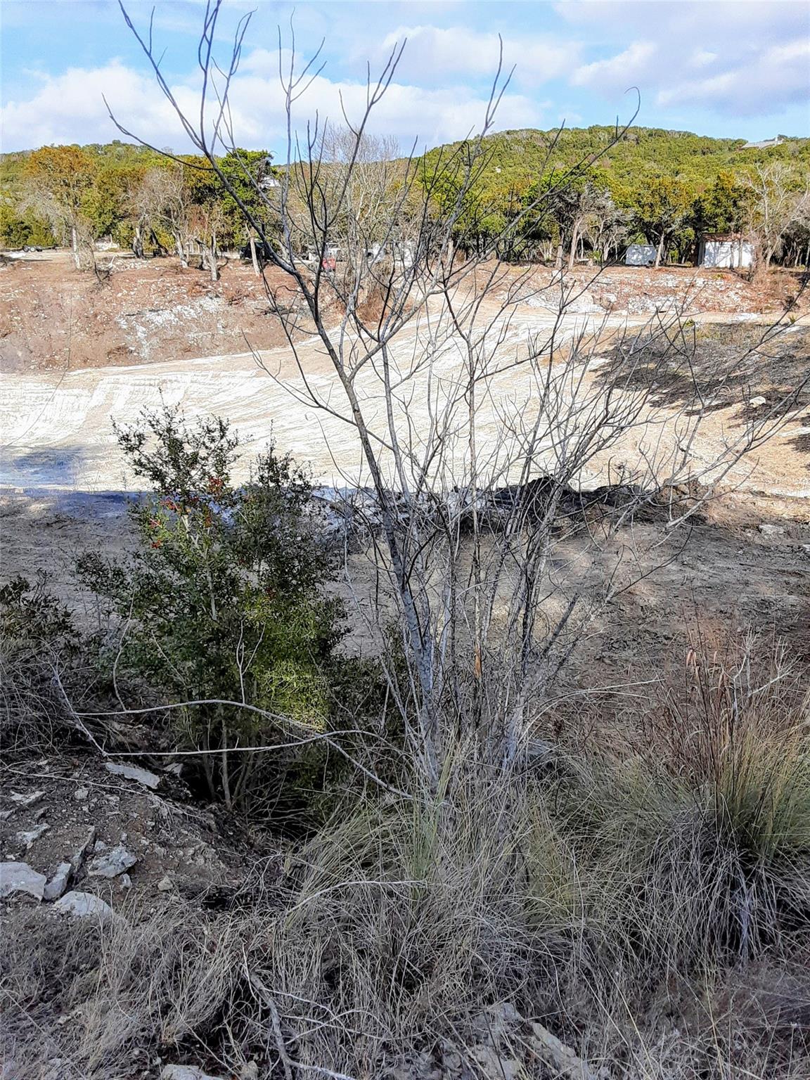 ABS 2537 SUR 98 CARLTON 19529 Adrian-1 acre Way # ABS 2537 SUR 98 CARLTON, Lago Vista, TX 78645