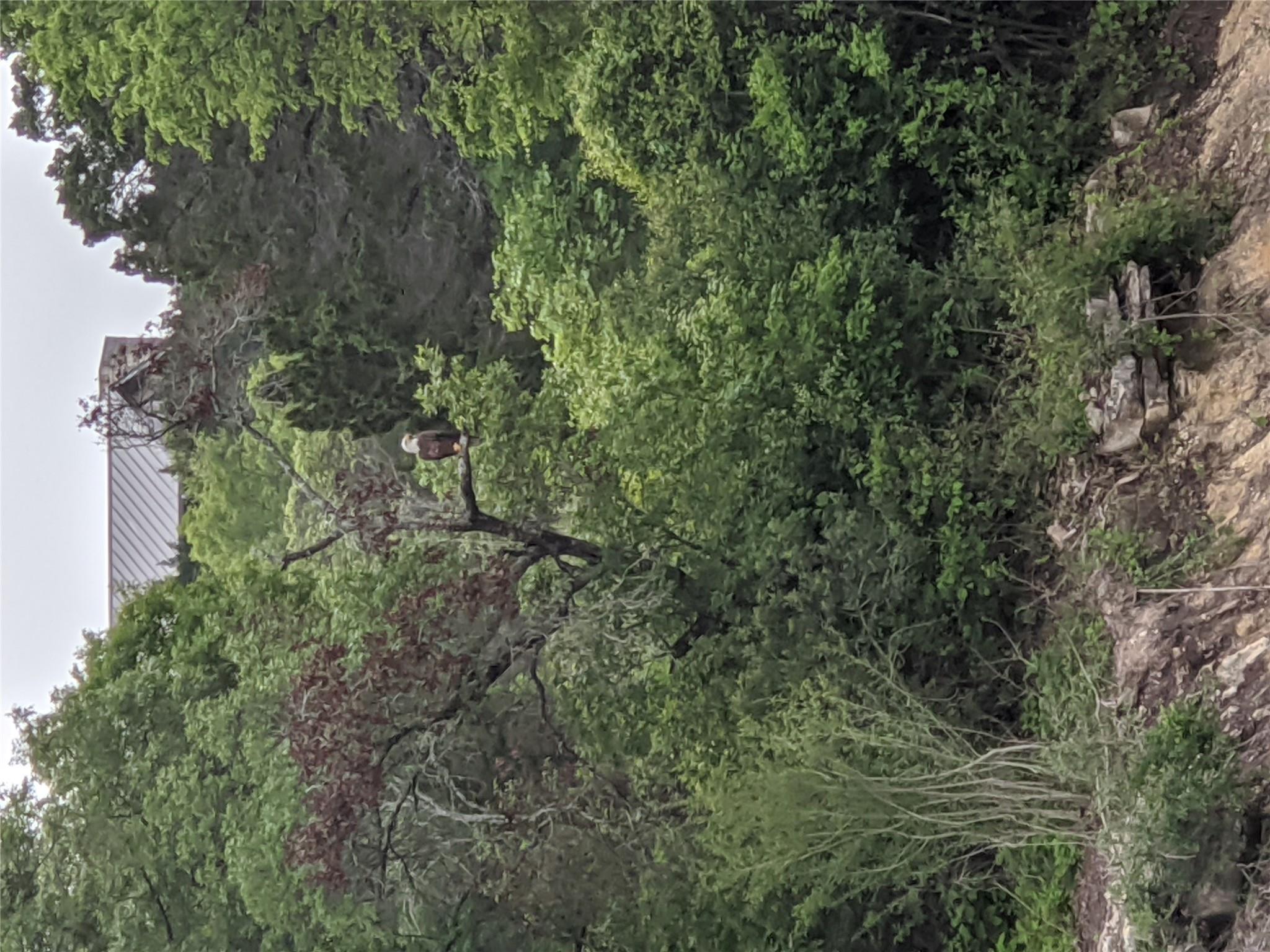 ABS 2537 SUR 98 CARLTON 19529 Adrian-1 acre Way # ABS 2537 SUR 98 CARLTON, Lago Vista, TX 78645