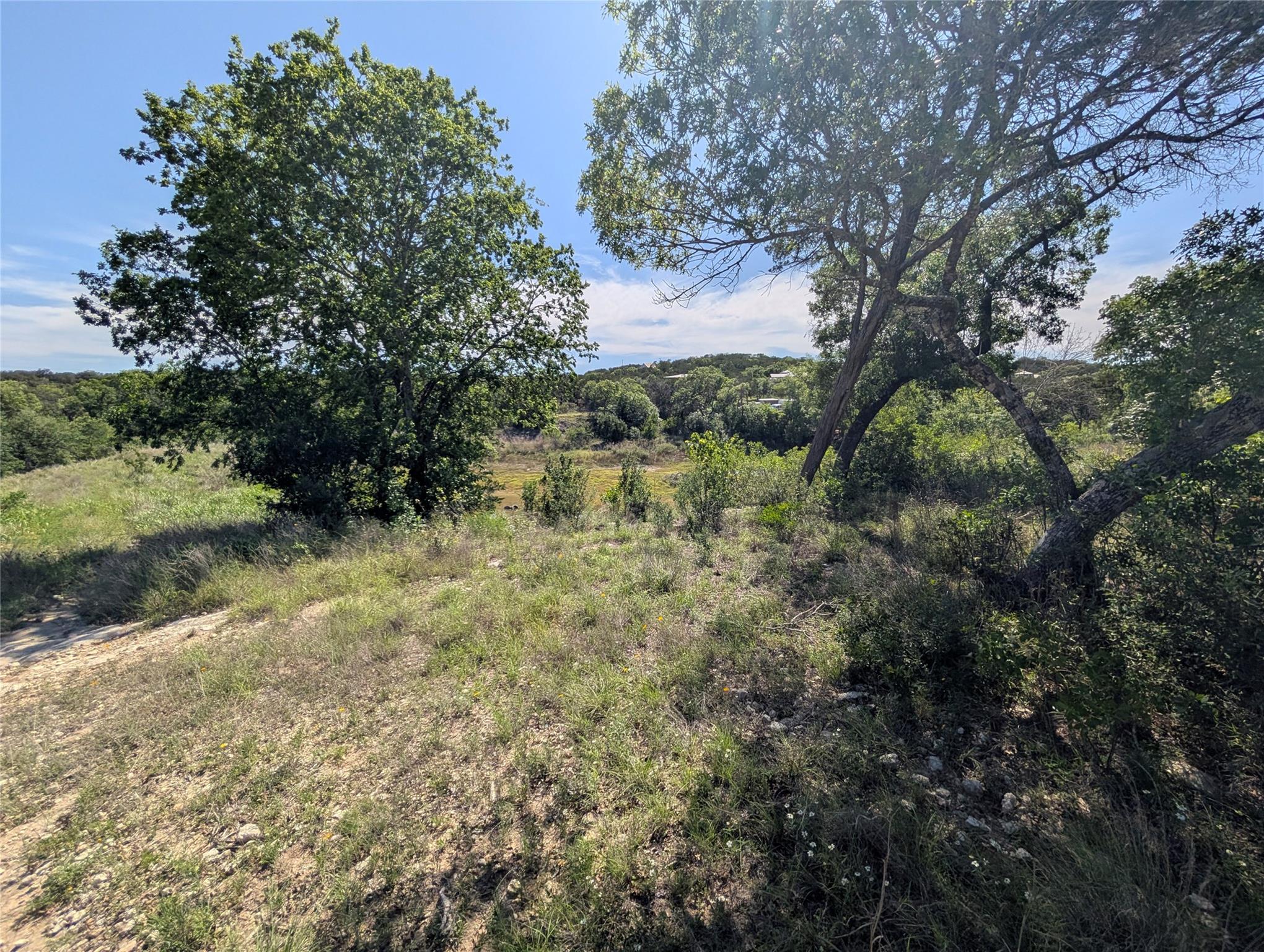 ABS 2537 SUR 98 CARLTON 19529 Adrian-1 acre Way # ABS 2537 SUR 98 CARLTON, Lago Vista, TX 78645