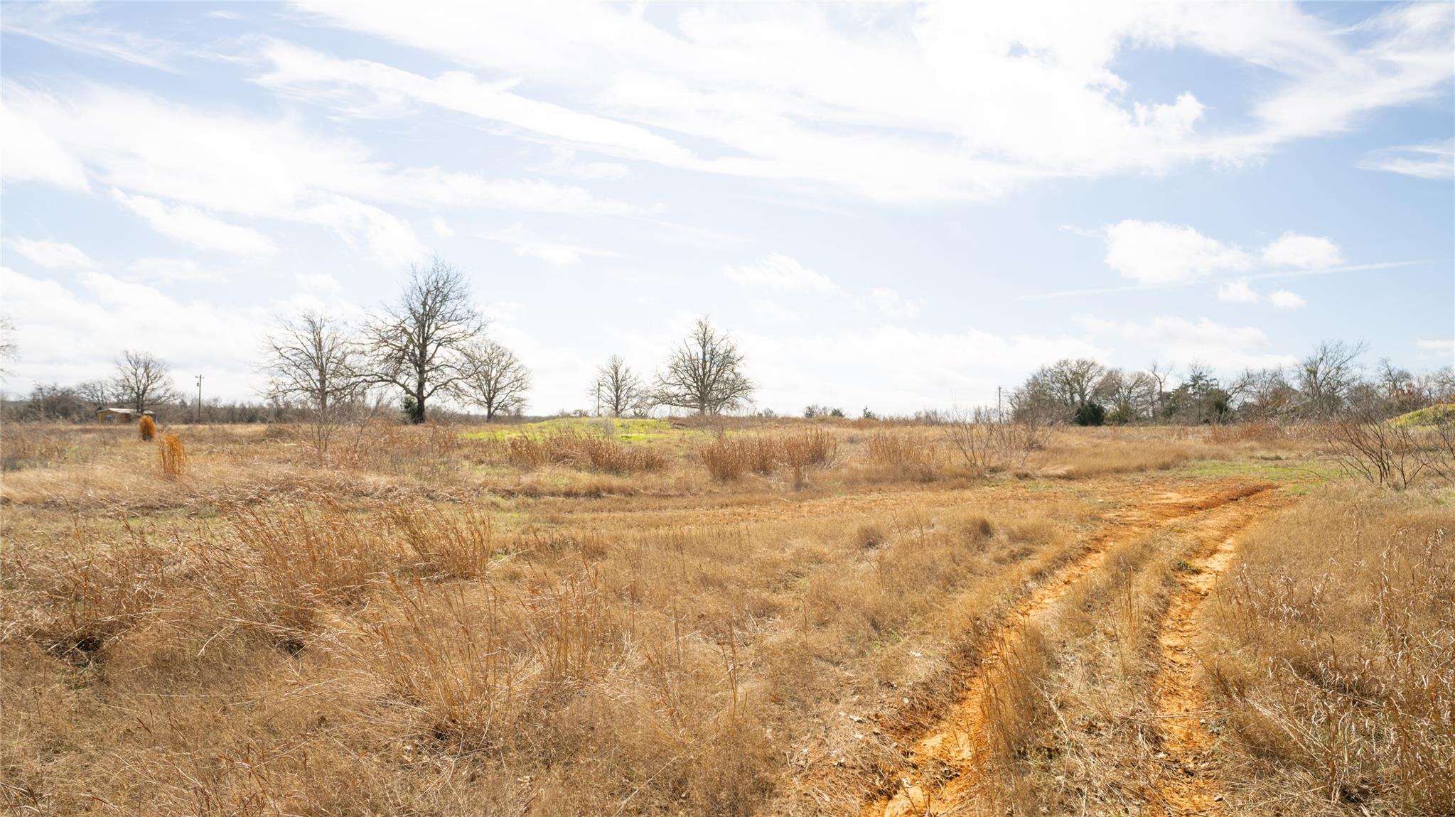 0000 TBD E Hwy 79 Highway, Rockdale, TX 76567