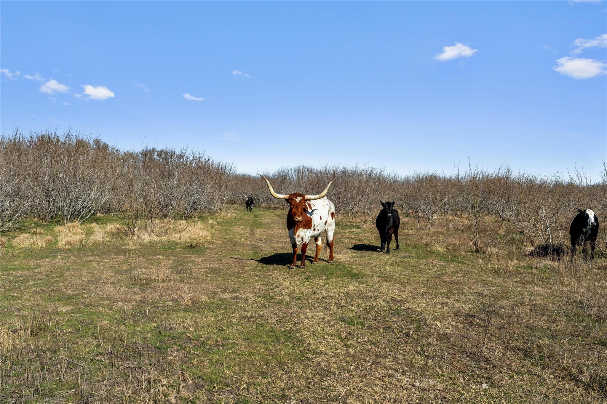 0 Rolling Ridge Rd, Lockhart, TX 78644