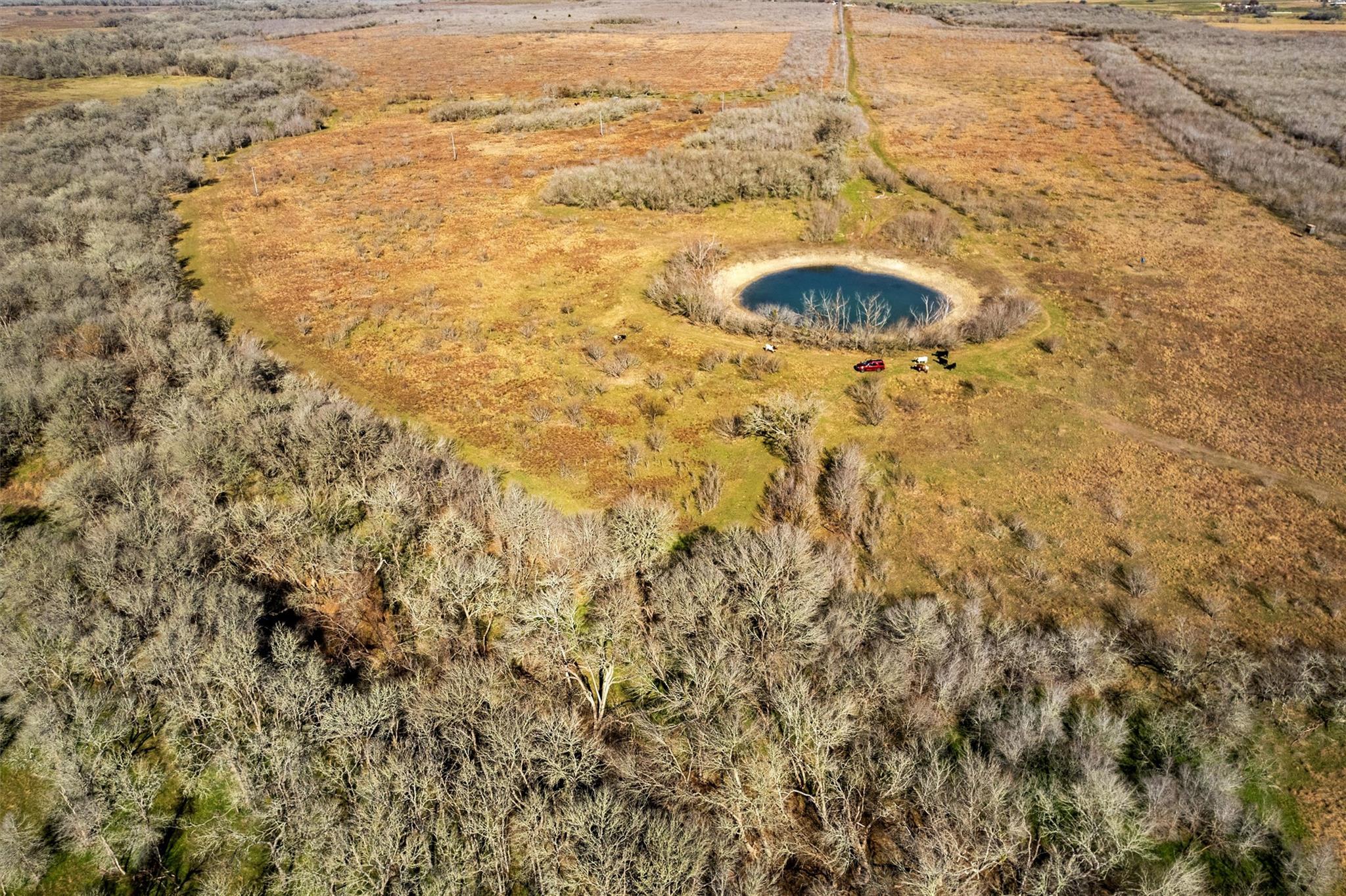 0 Rolling Ridge Rd, Lockhart, TX 78644