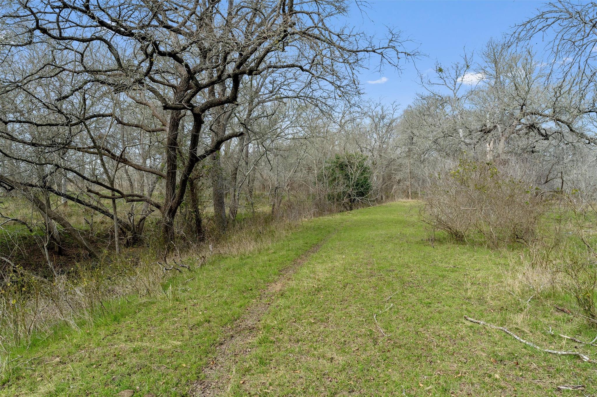 0 Rolling Ridge Rd, Lockhart, TX 78644
