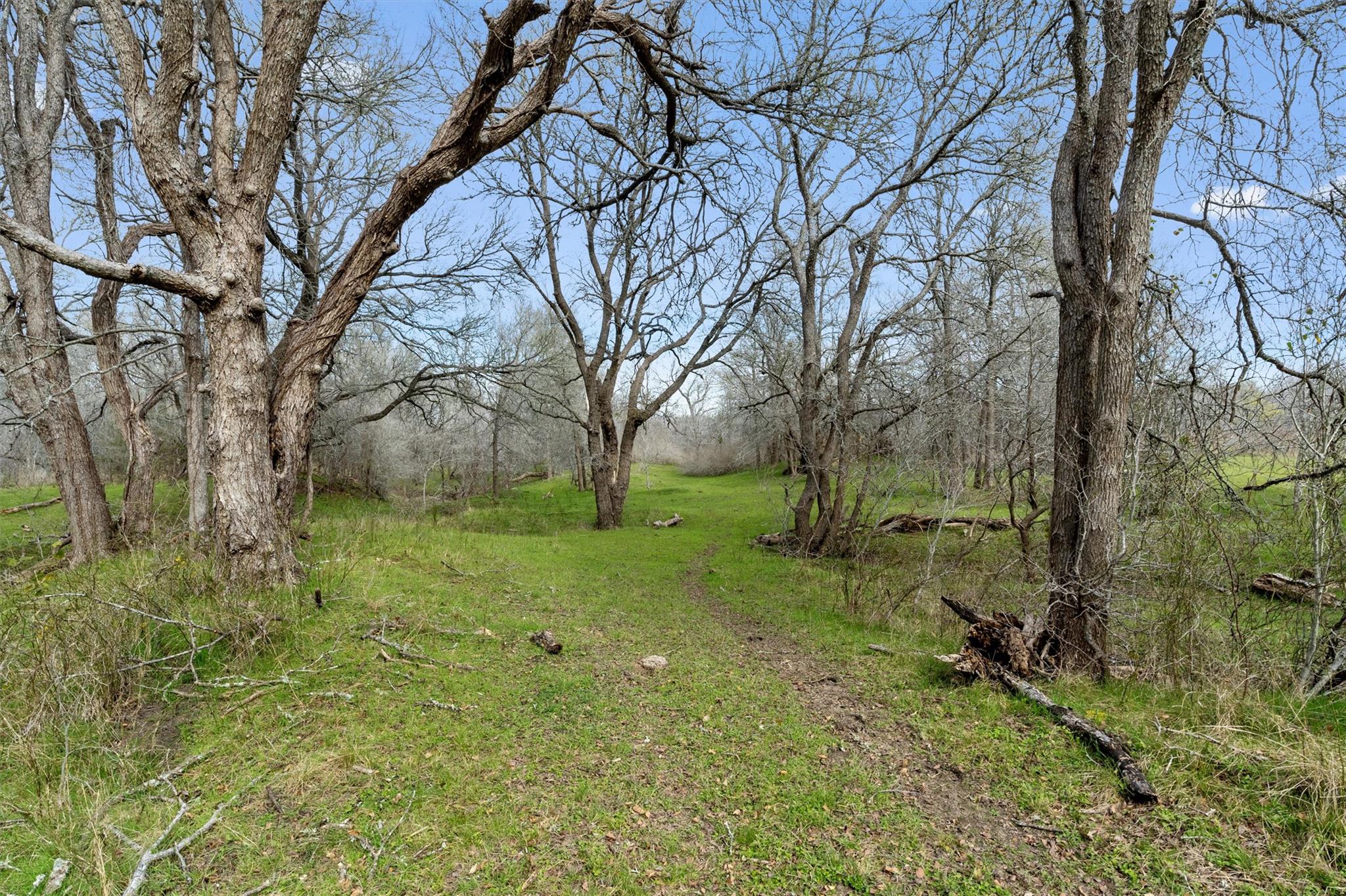 0 Rolling Ridge Rd, Lockhart, TX 78644