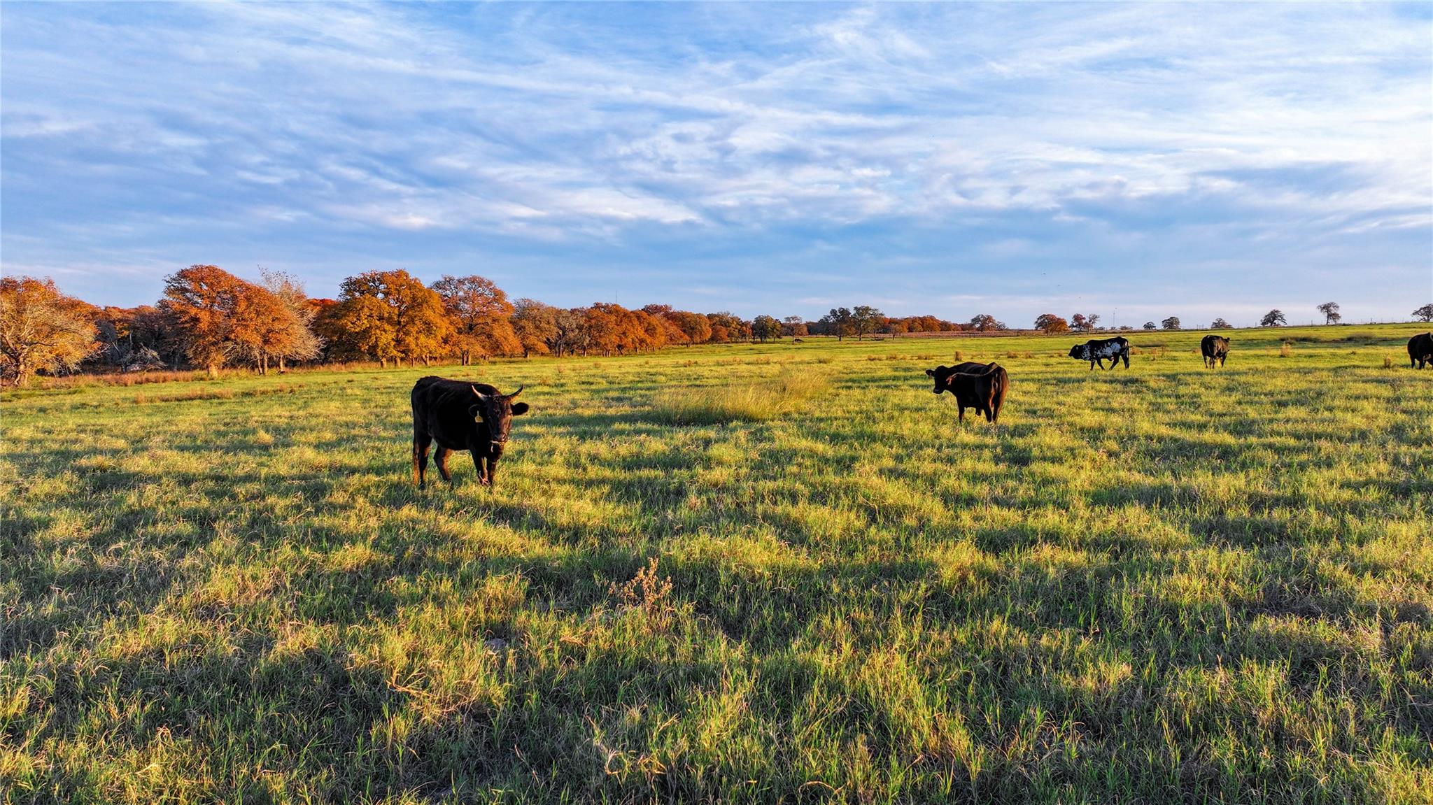 TBD Tx-123, Seguin, TX 78155