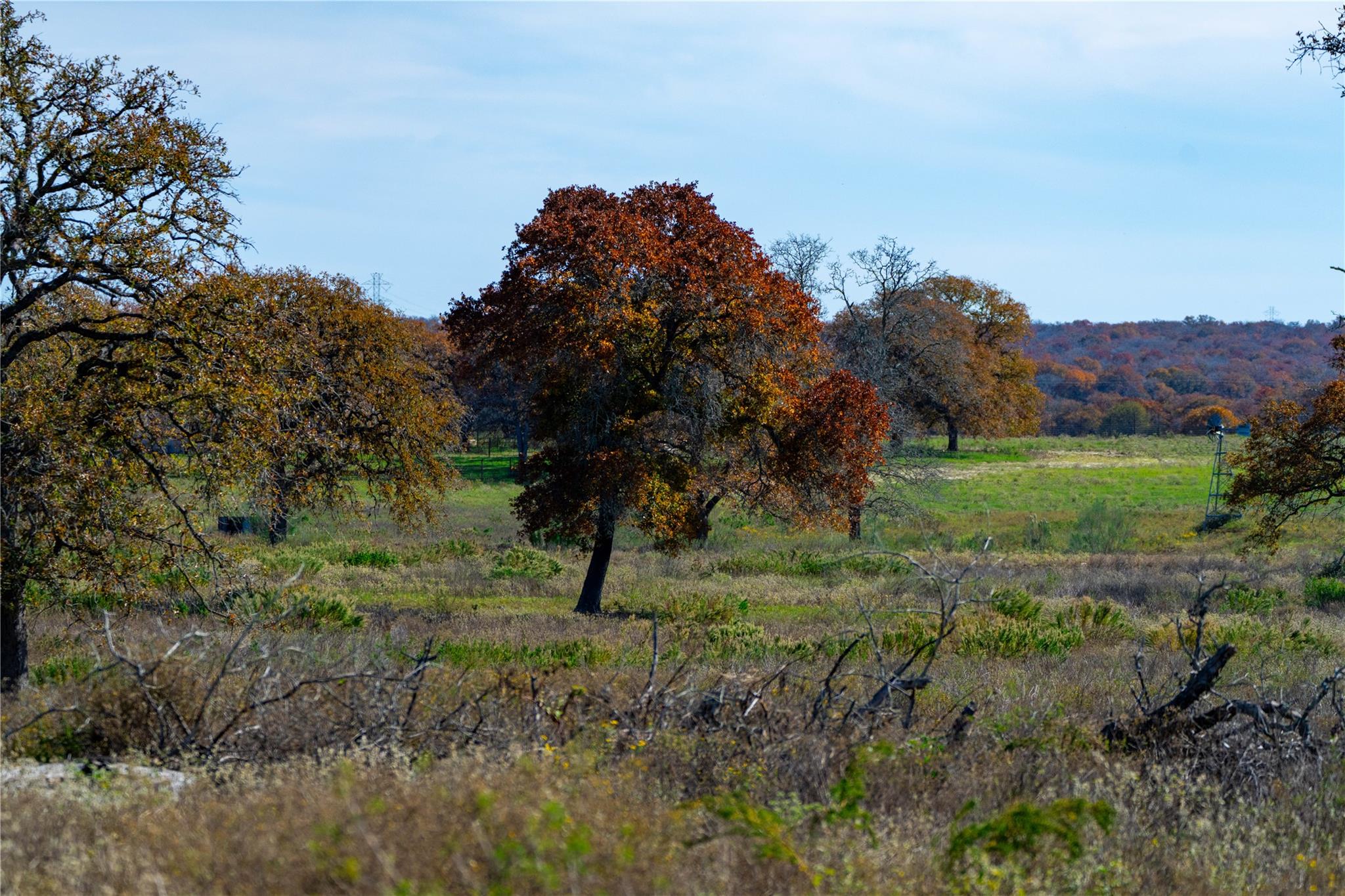 TBD Tx-123, Seguin, TX 78155