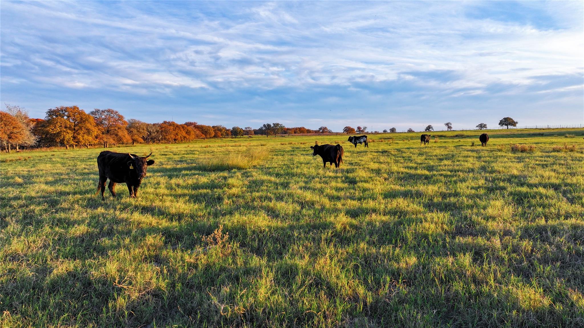 TBD Tx-123, Seguin, TX 78155