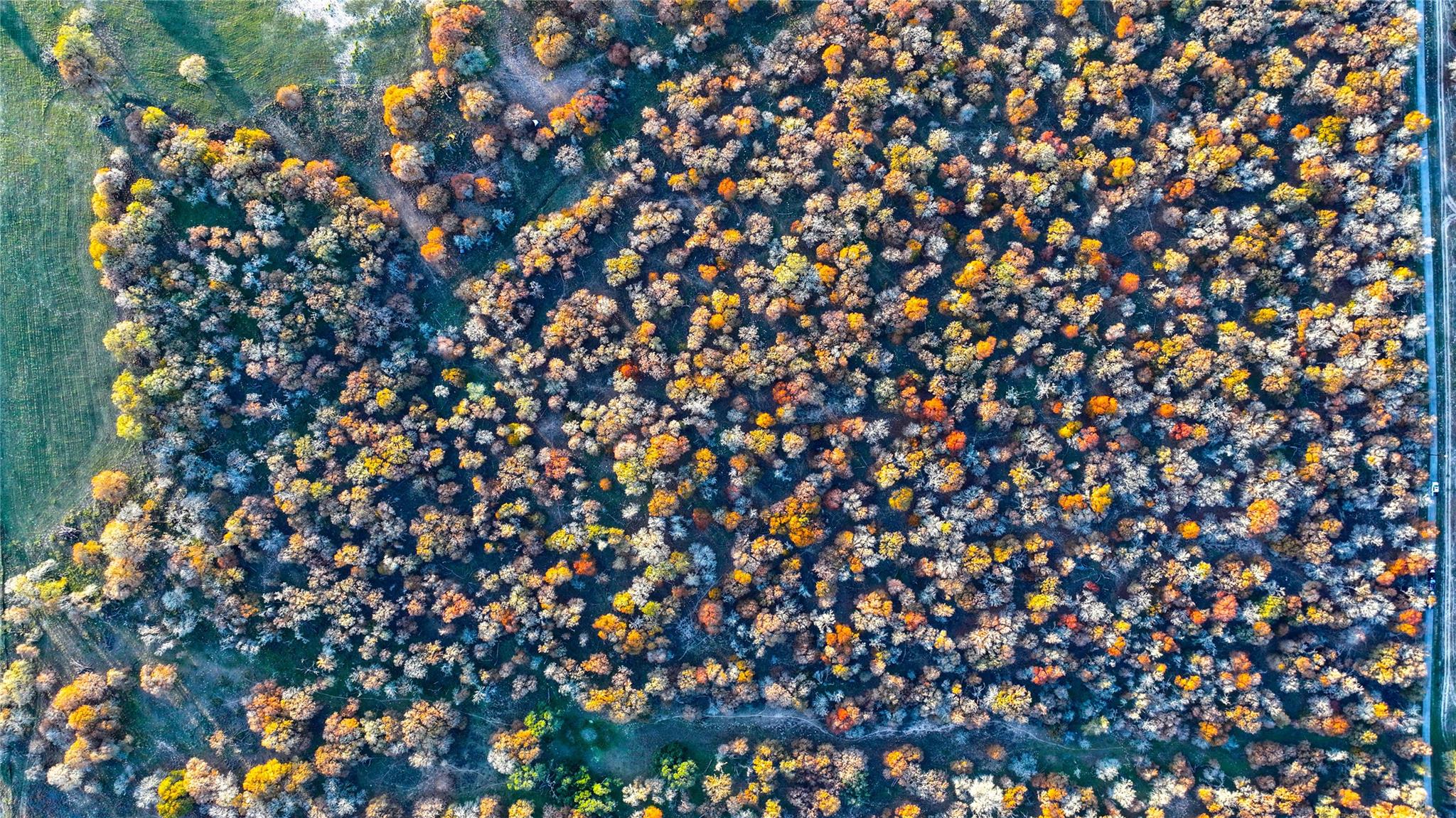 TBD Tx-123, Seguin, TX 78155