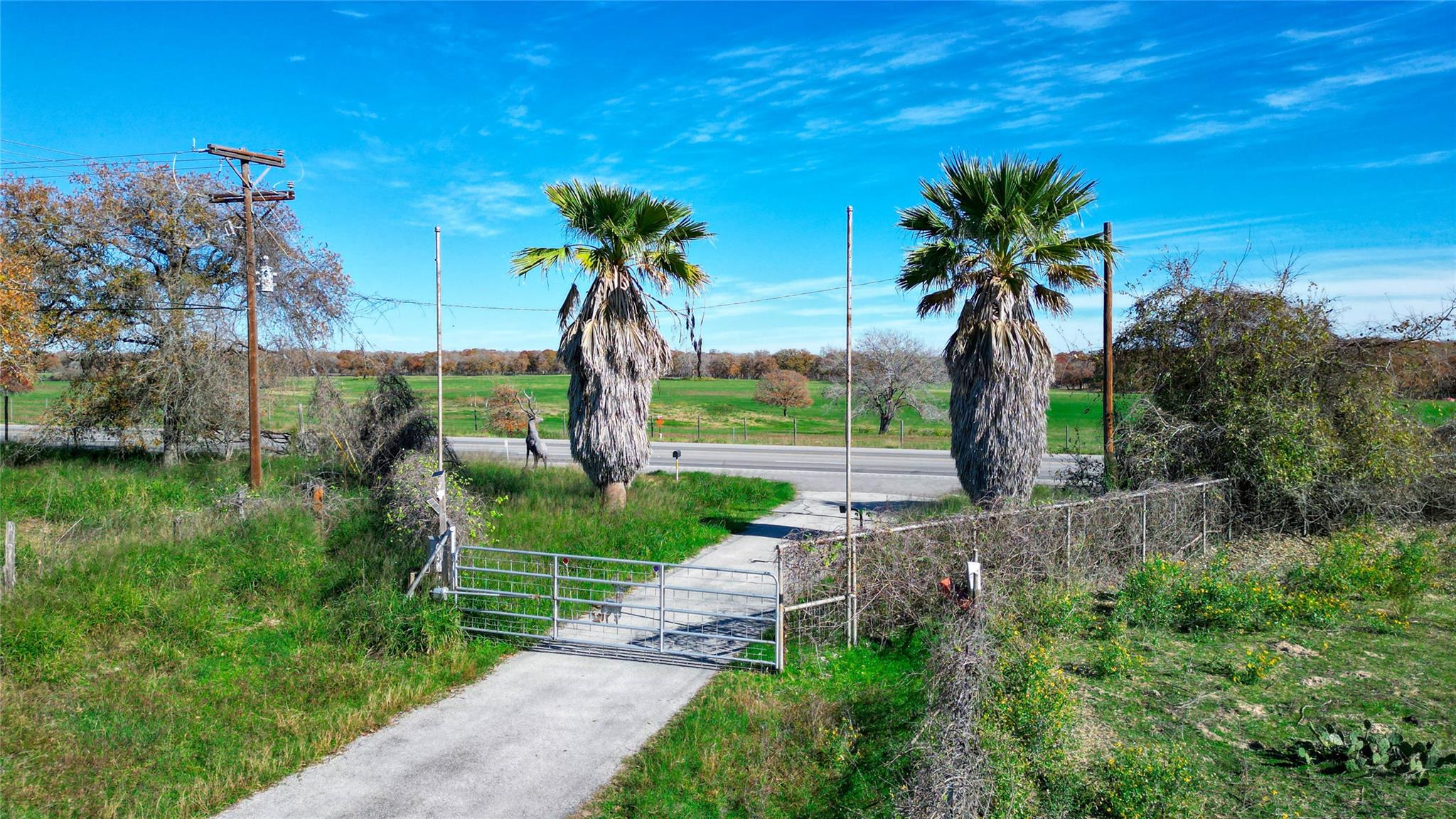 TBD Tx-123, Seguin, TX 78155