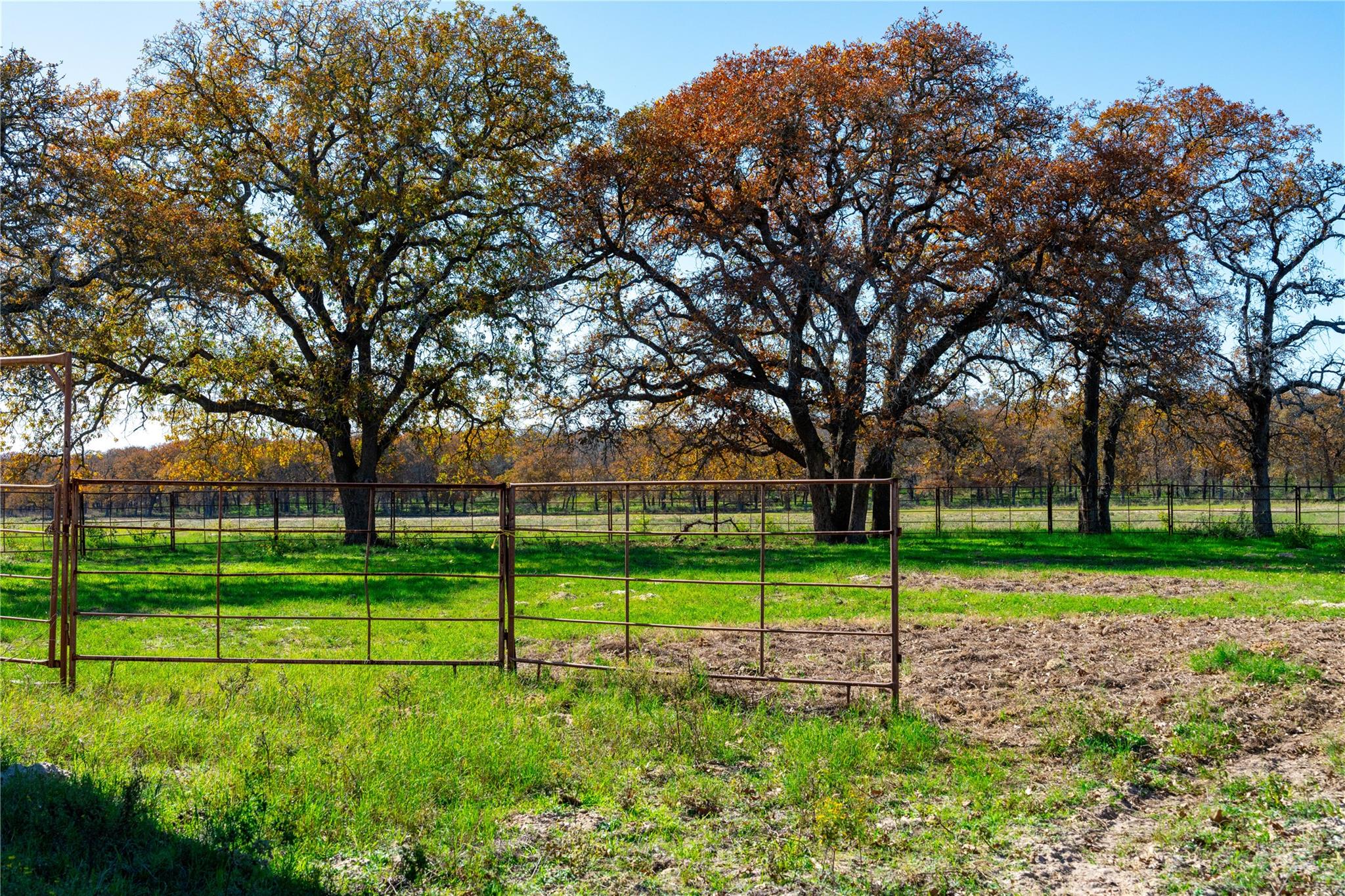 TBD Tx-123, Seguin, TX 78155