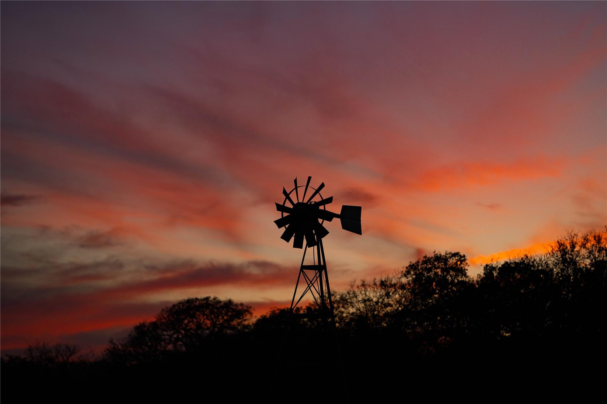 TBD Tx-123, Seguin, TX 78155