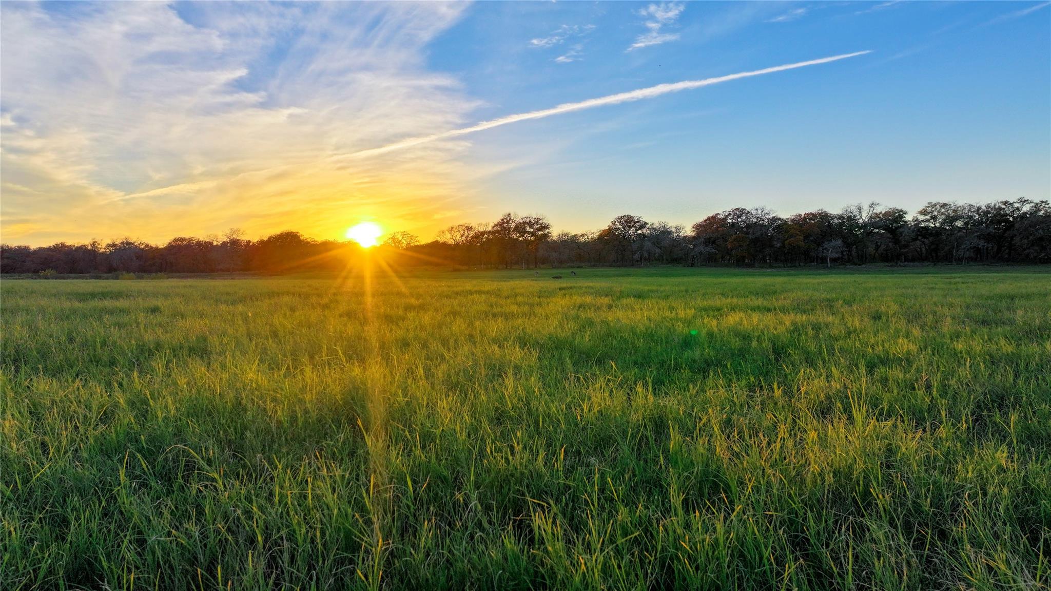 TBD Tx-123, Seguin, TX 78155