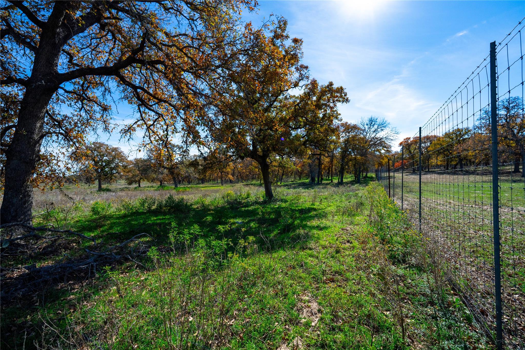 TBD Tx-123, Seguin, TX 78155