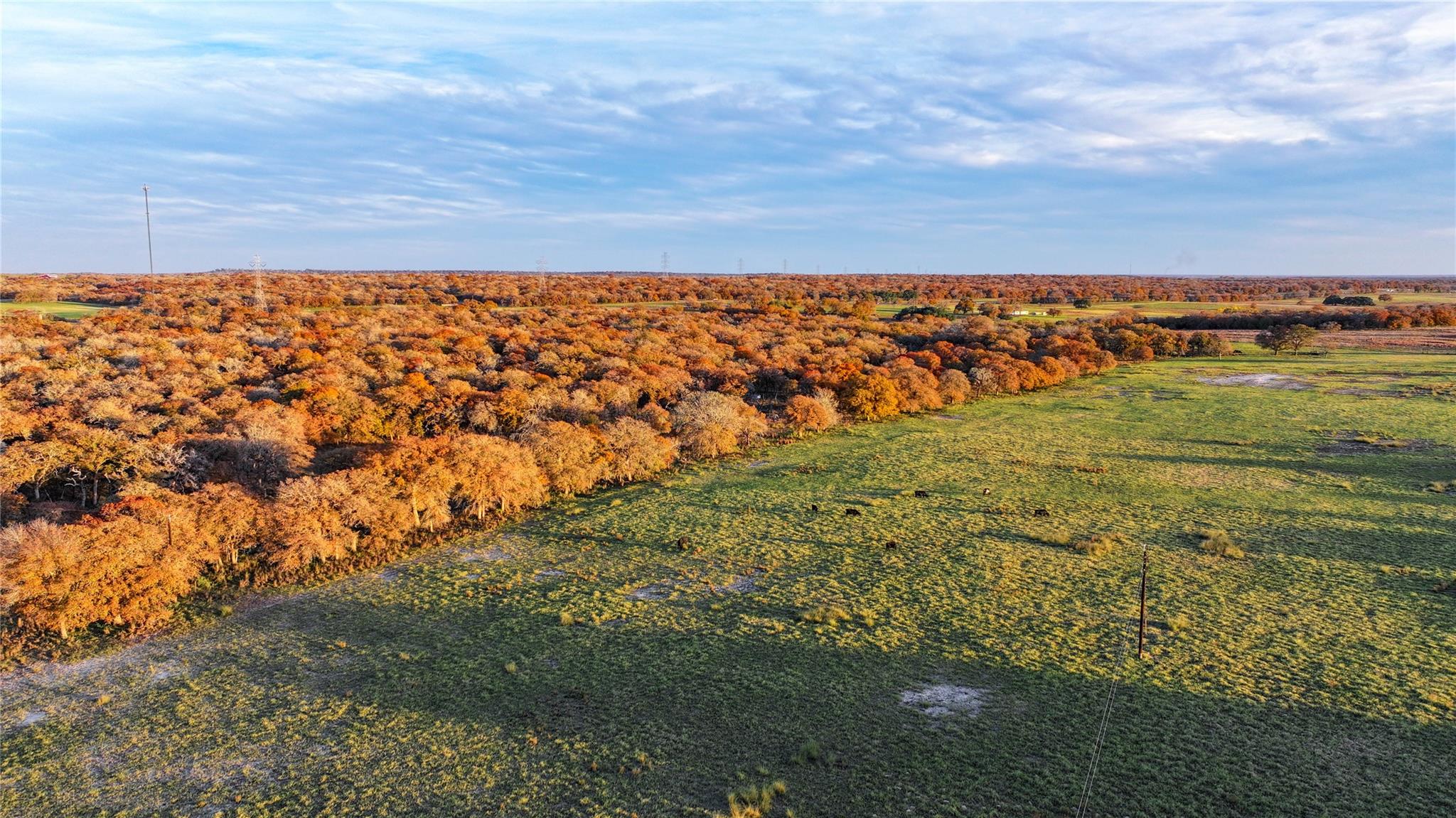 TBD Tx-123, Seguin, TX 78155