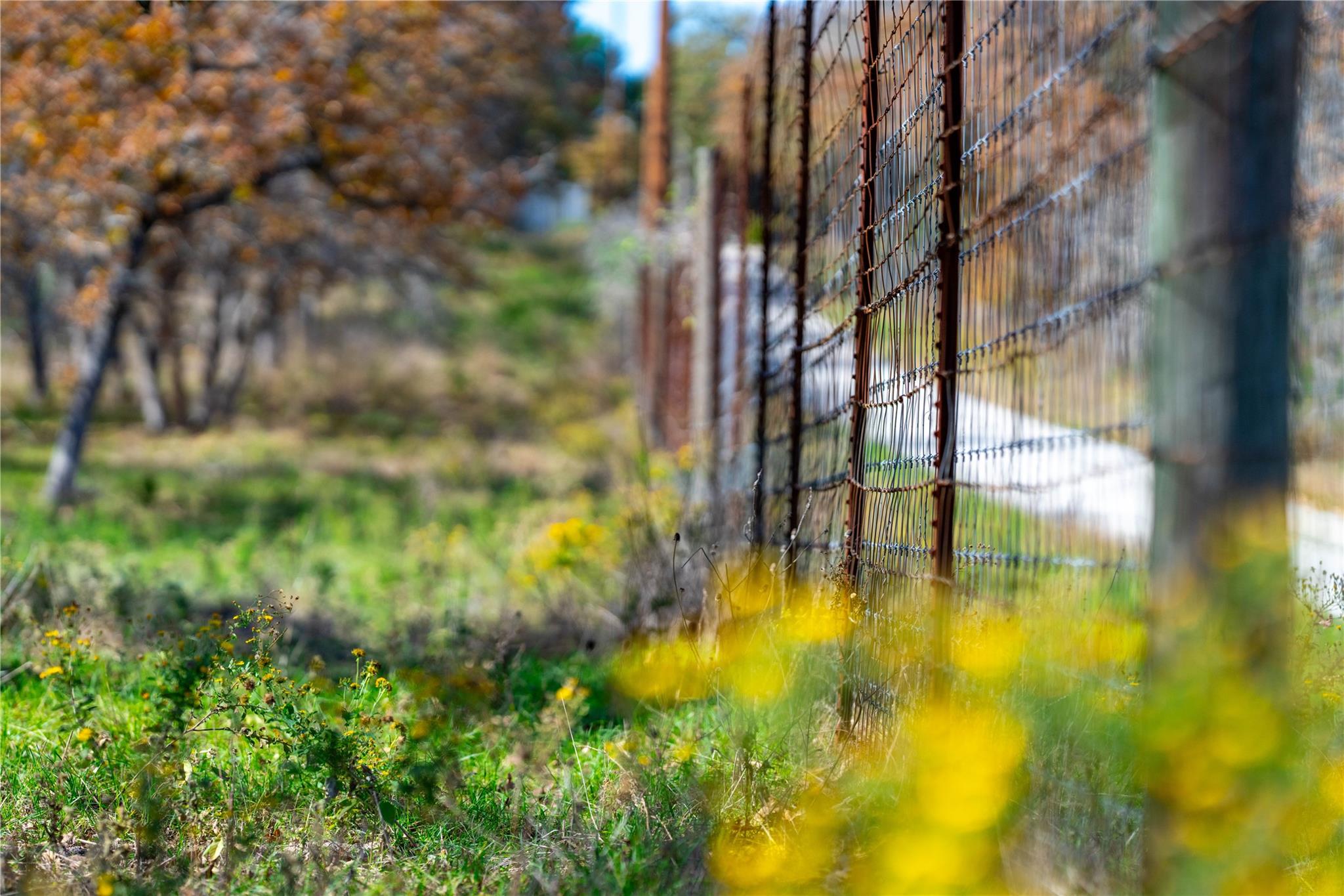 TBD Tx-123, Seguin, TX 78155