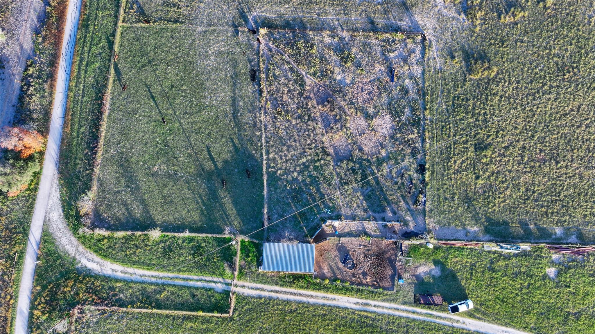 TBD Tx-123, Seguin, TX 78155