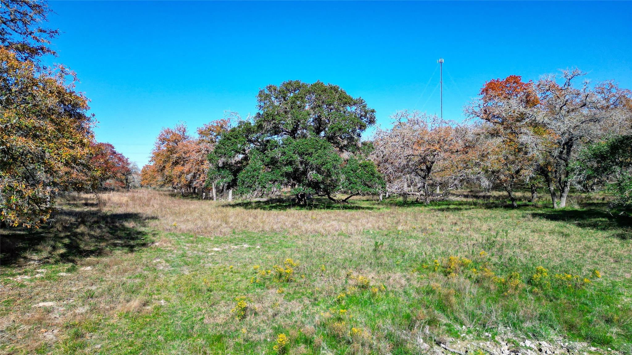 TBD Tx-123, Seguin, TX 78155