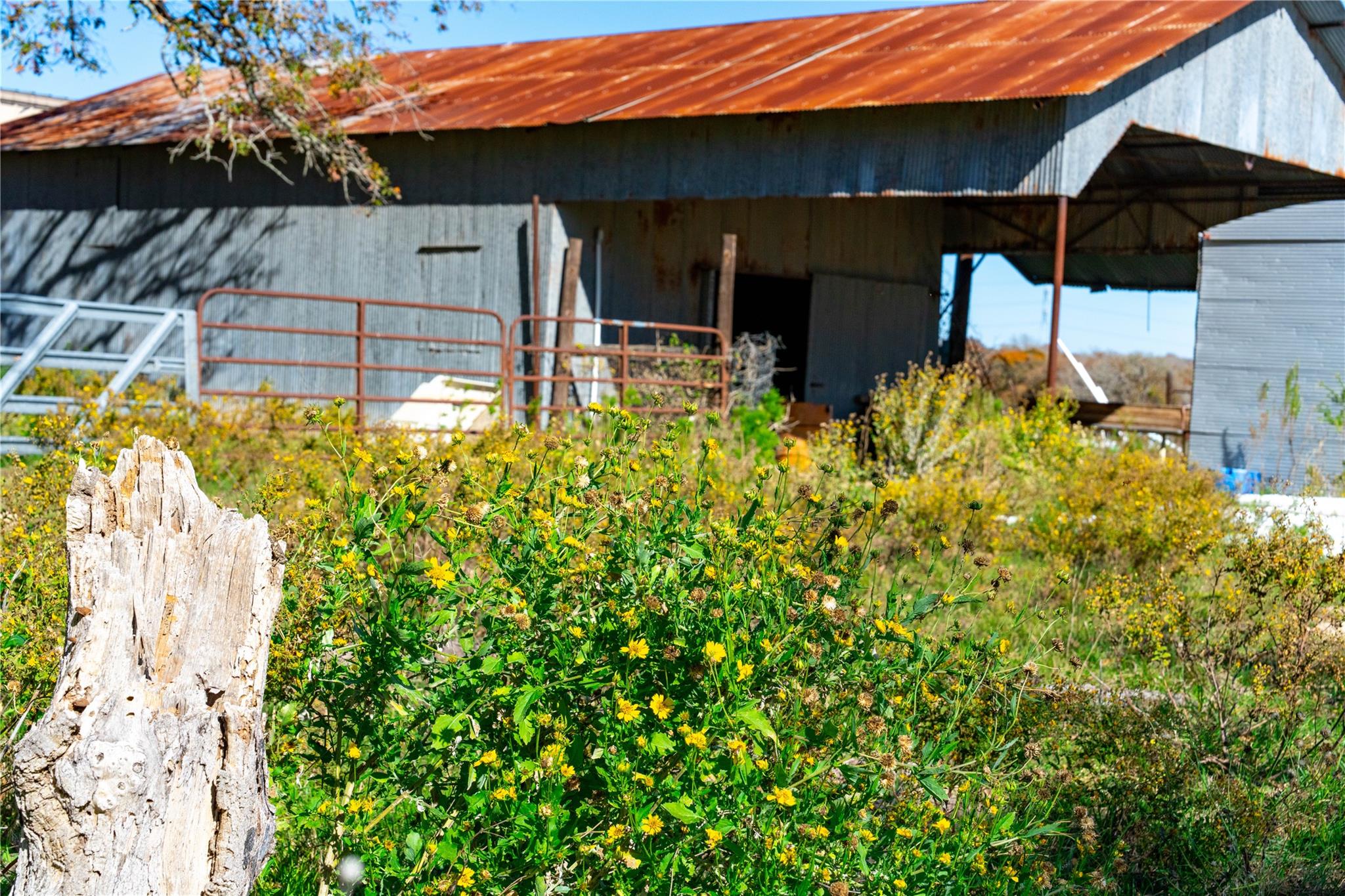 TBD Tx-123, Seguin, TX 78155