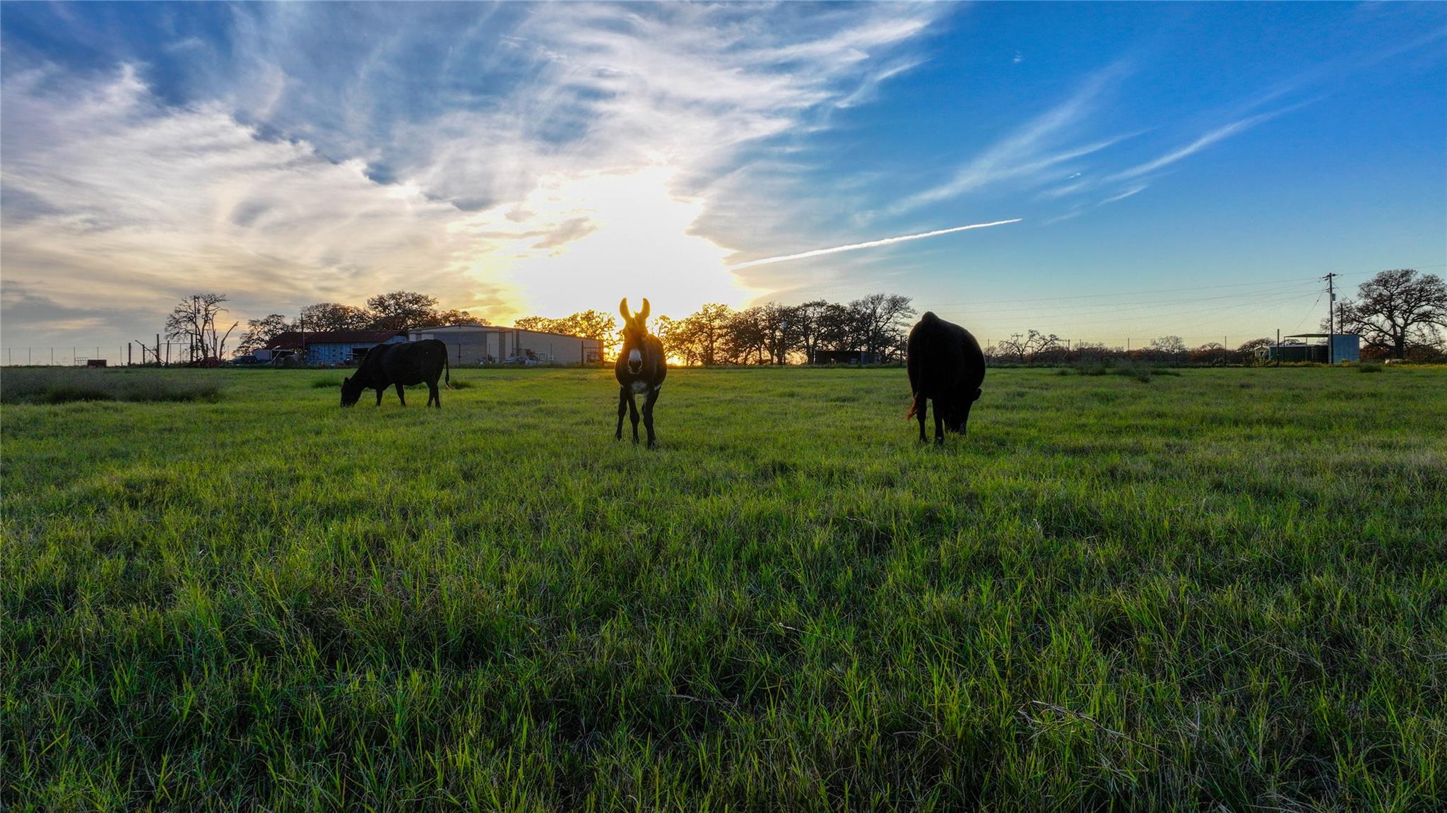 TBD Tx-123, Seguin, TX 78155